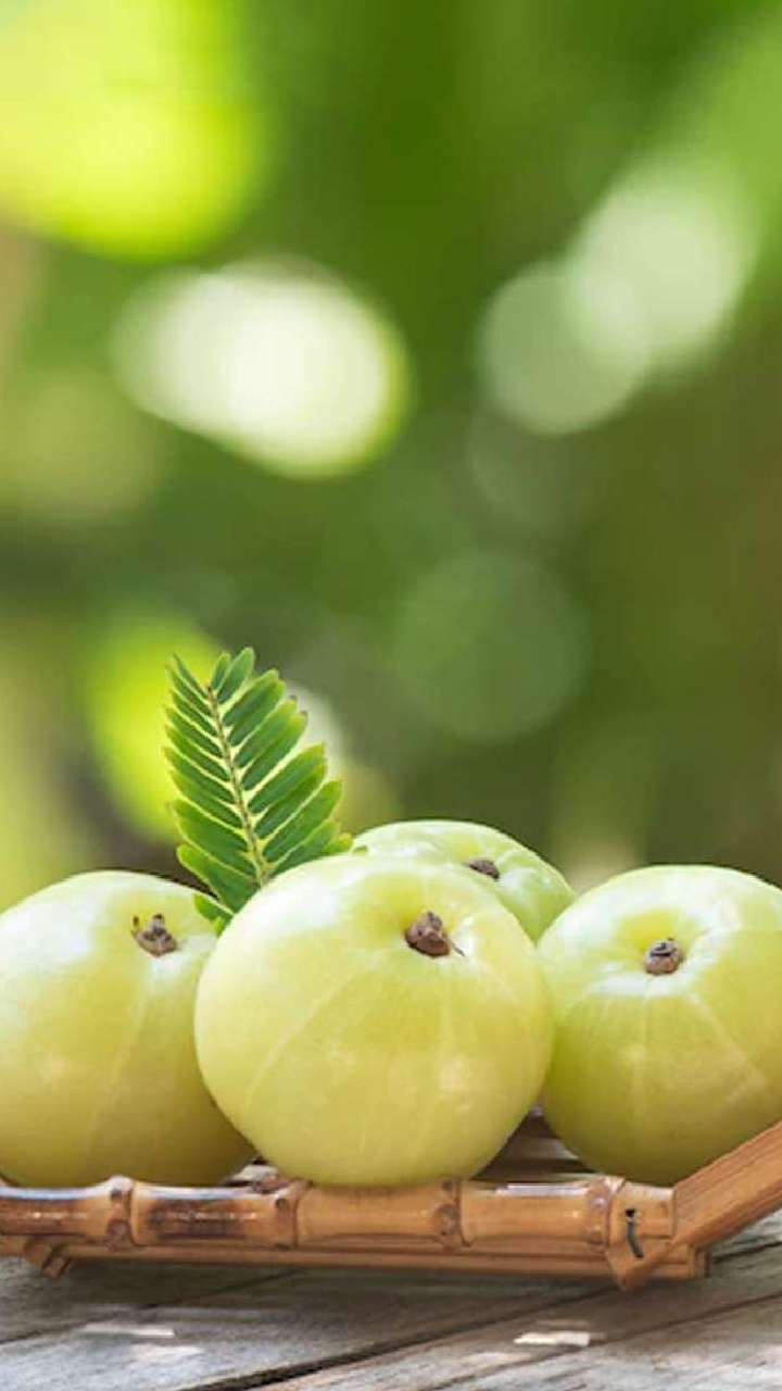 Detailed Amla For Hair Capture Nature Detailed Amla For Hair Capture Nature