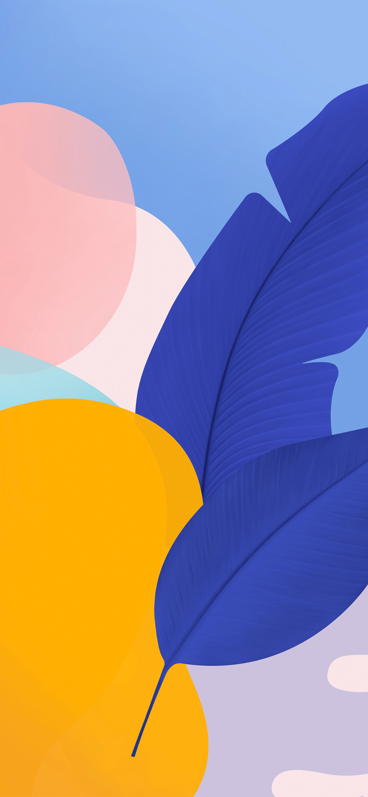 1237x2676 Huawei Nova 9 Pro Wallpaper