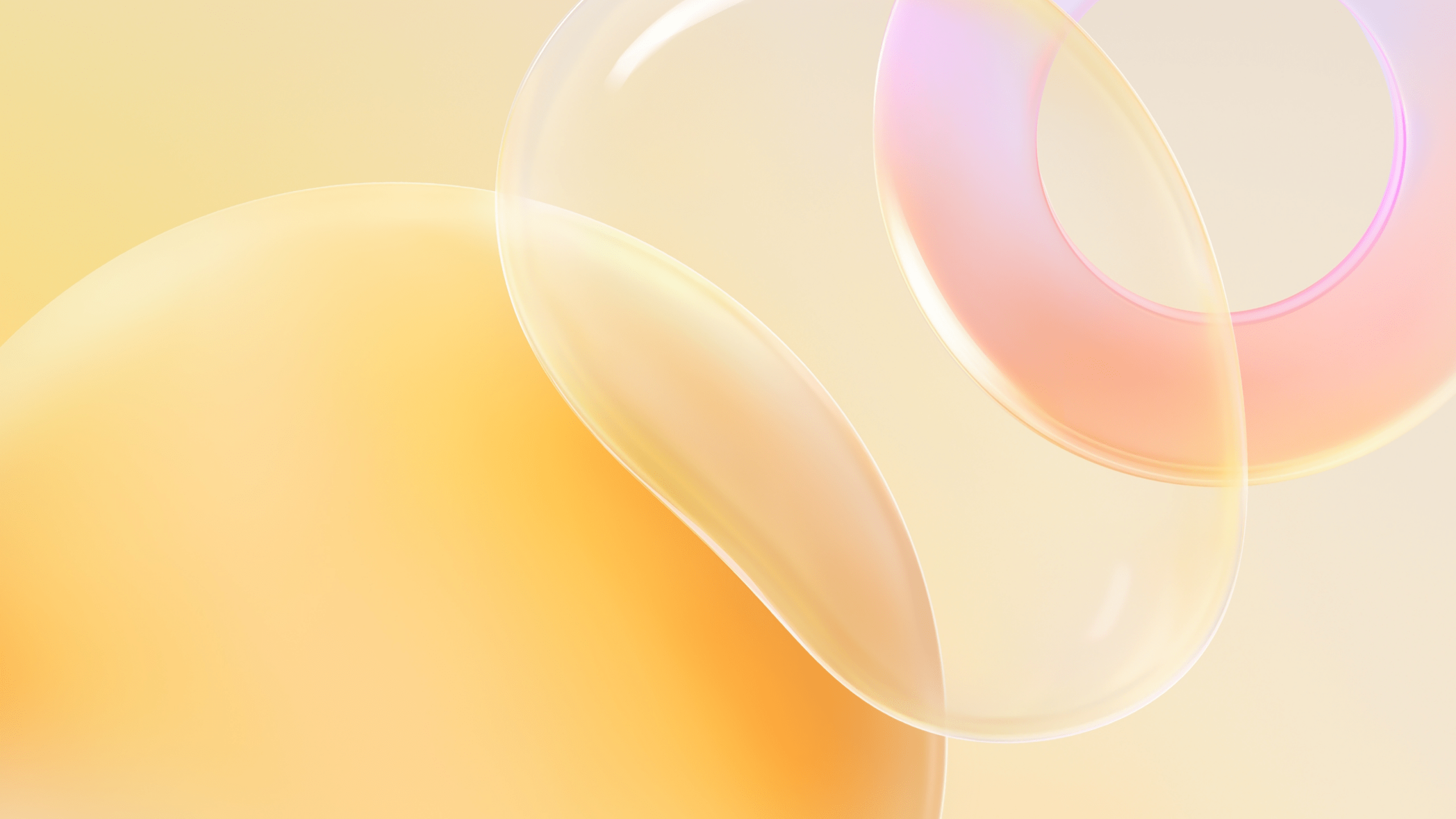 2560x1440 Free HD A Circle Wallpaper —