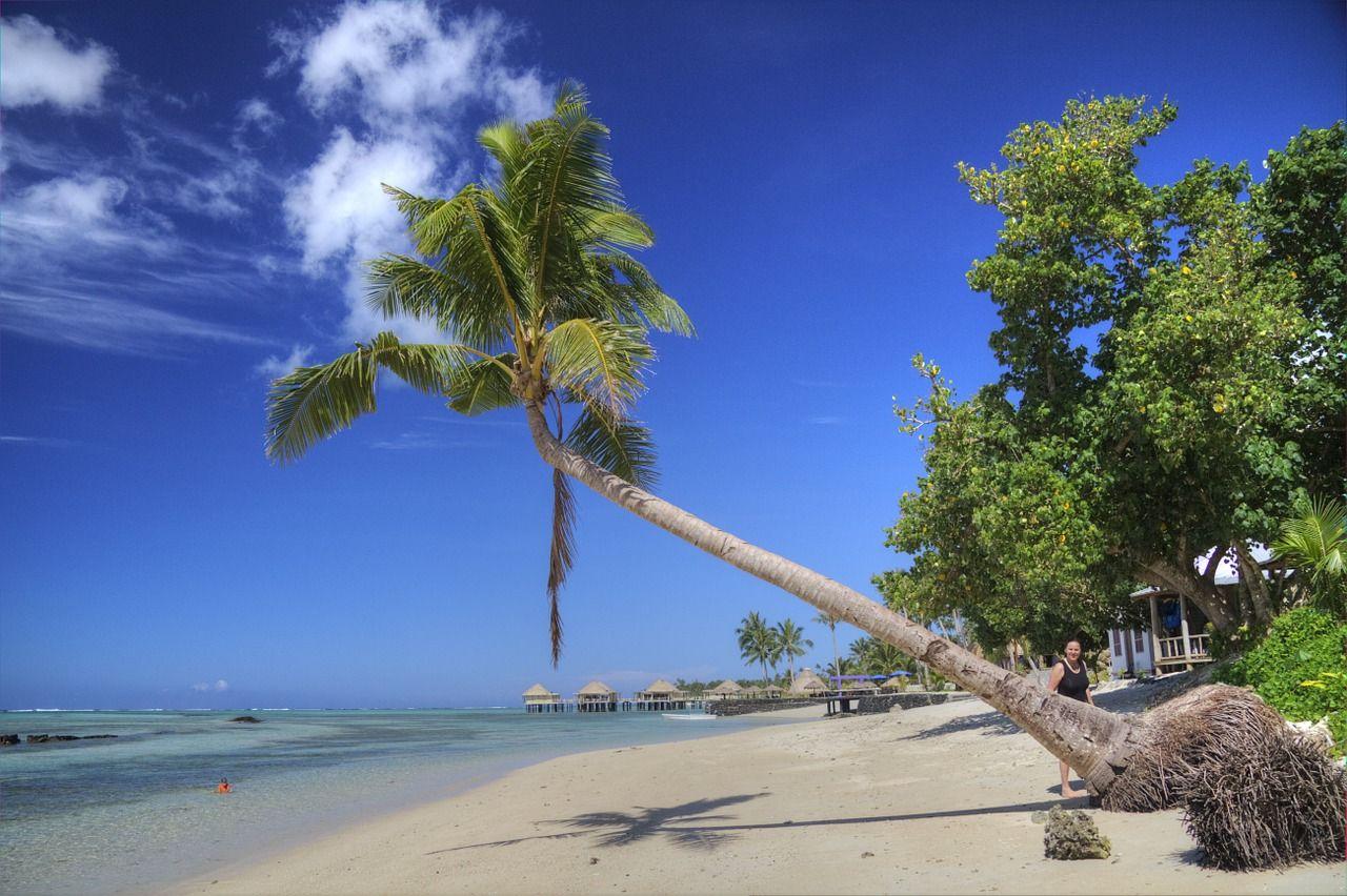 1280x852 Samoa, tropics, beach, ocean, palm tree