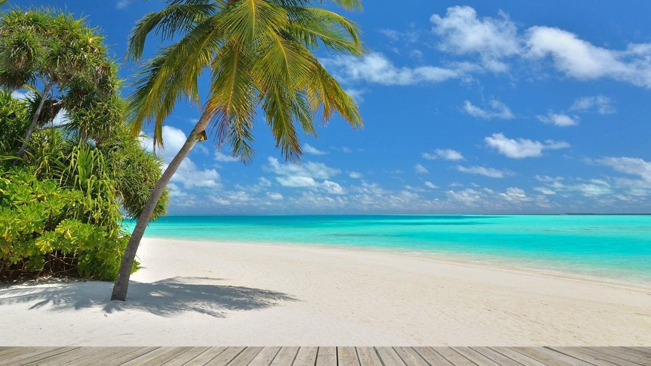 1280x720 Waikiki Hawaii Wallpaper for Android