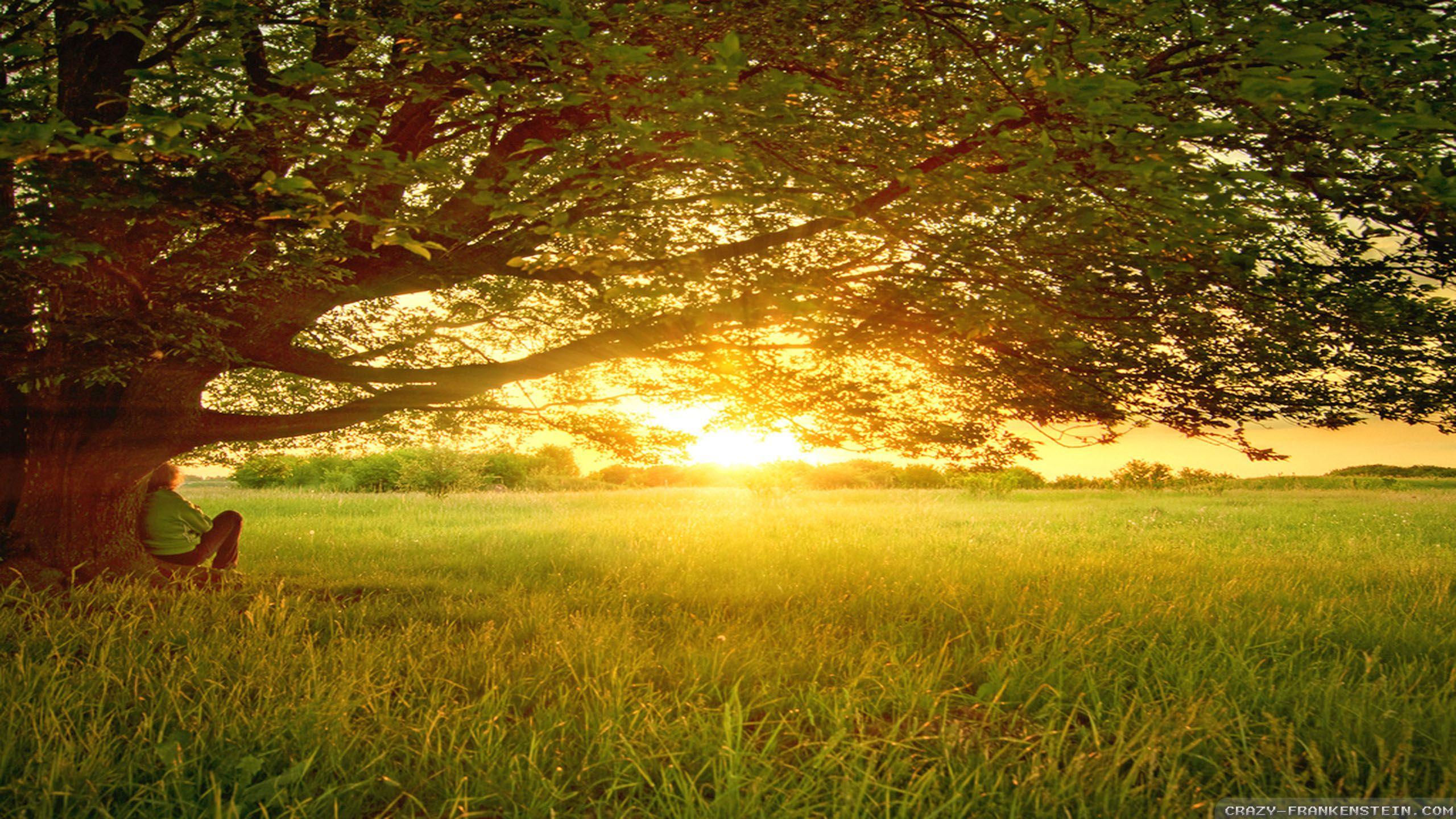 Peaceful Nature Wallpapers - Top Free Peaceful Nature Backgrounds ...