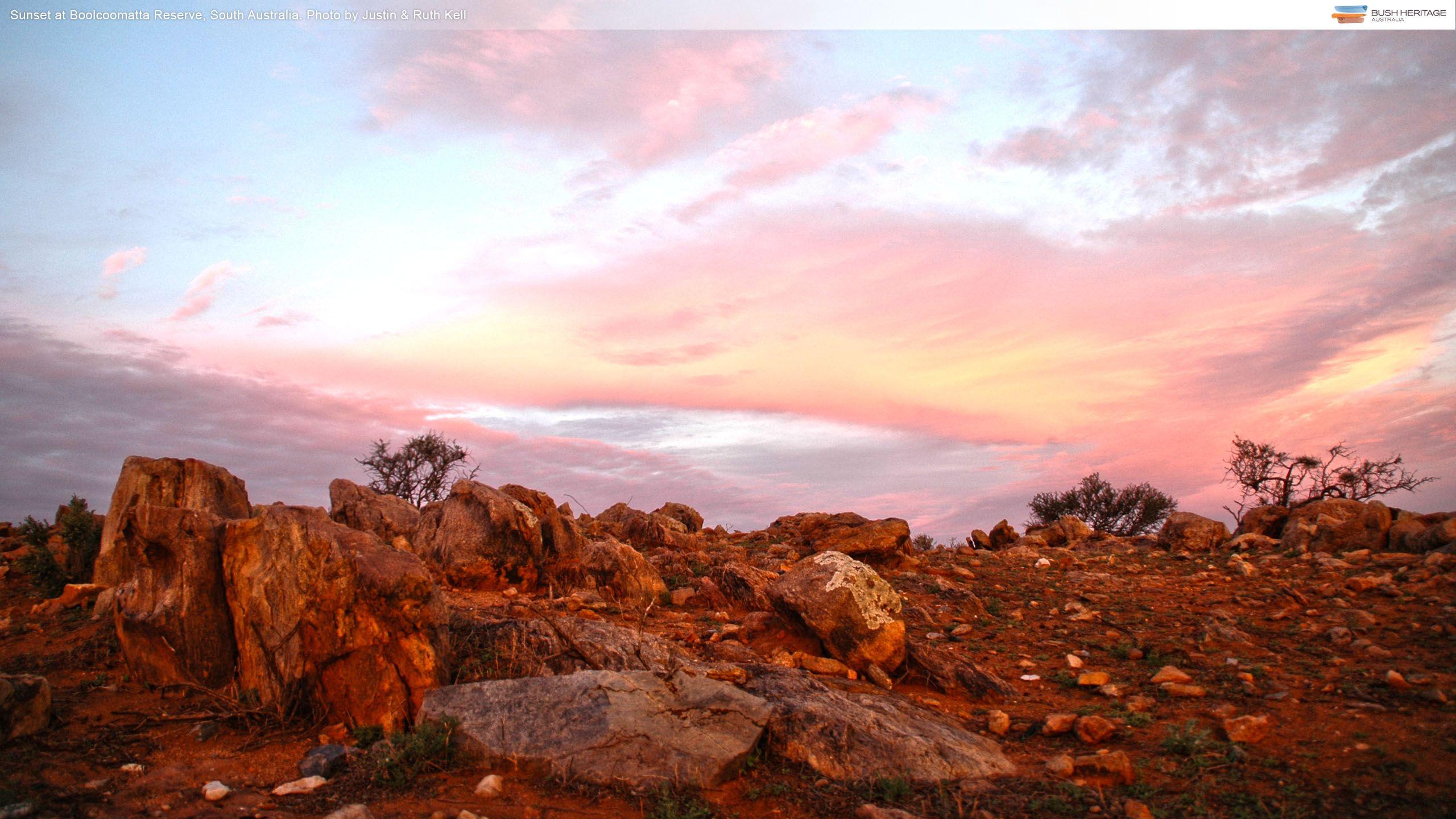 Australian Desert Wallpapers - Top Free Australian Desert Backgrounds