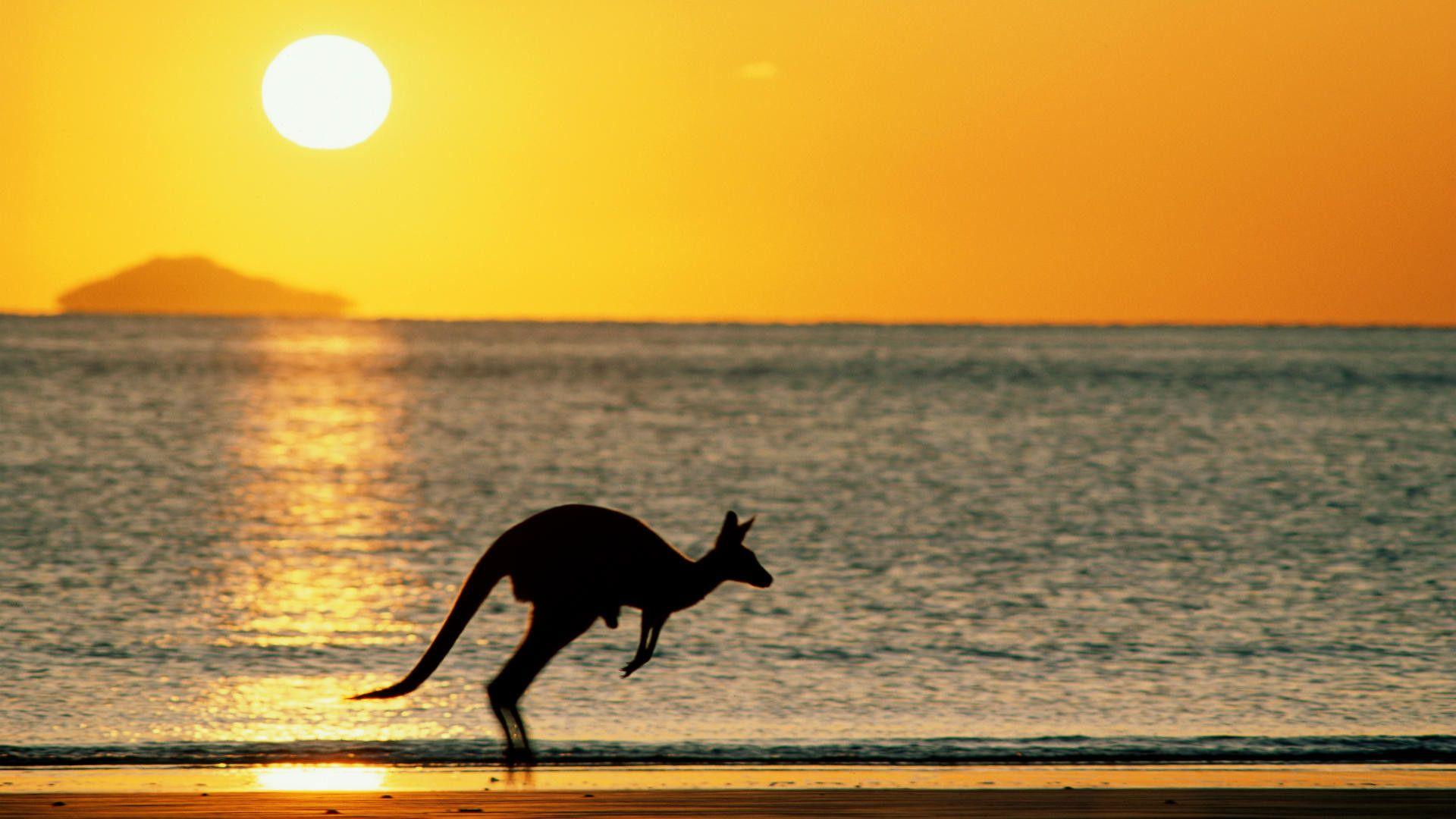 1920x1080 Australia Wallpaper Desktop