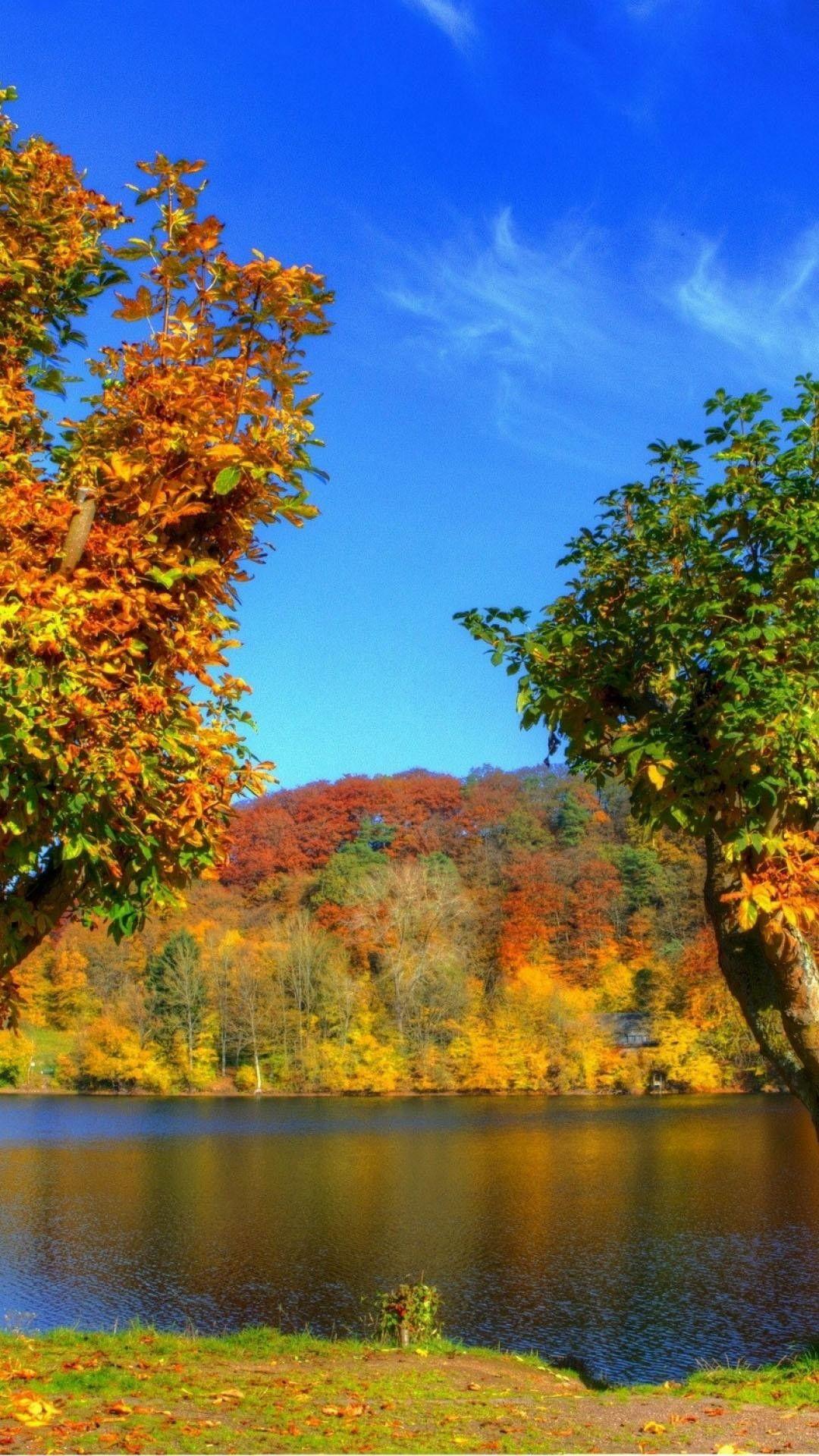 1080x1920 Fall Wallpaper iPhone 5