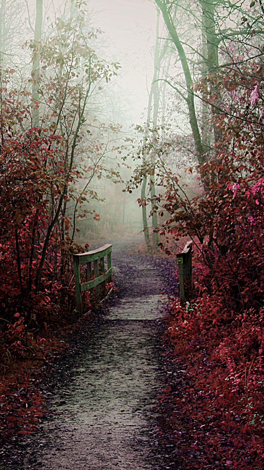 1080x1920 iPhone 6 Autumn Wallpaper