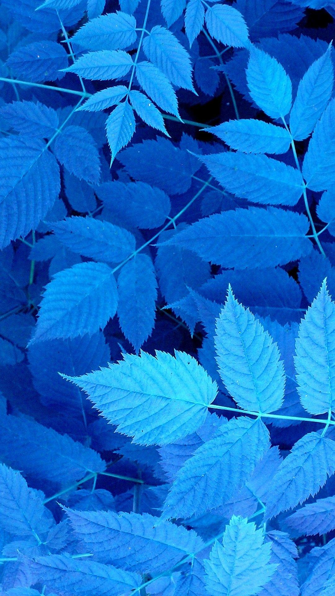 1080x1920 Blue Leaves iPhone Wallpaper 3D iPhone Wallpaper