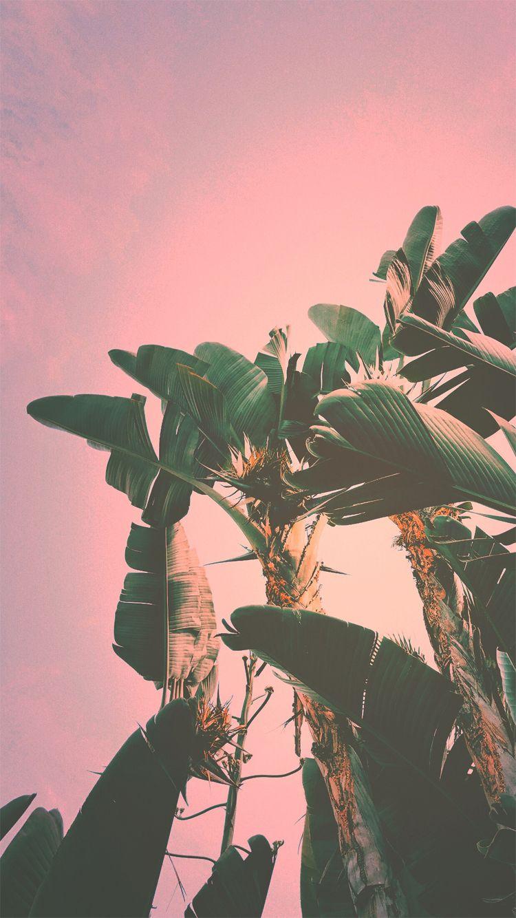 750x1334 Your Weekly Wednesday Wallpaper