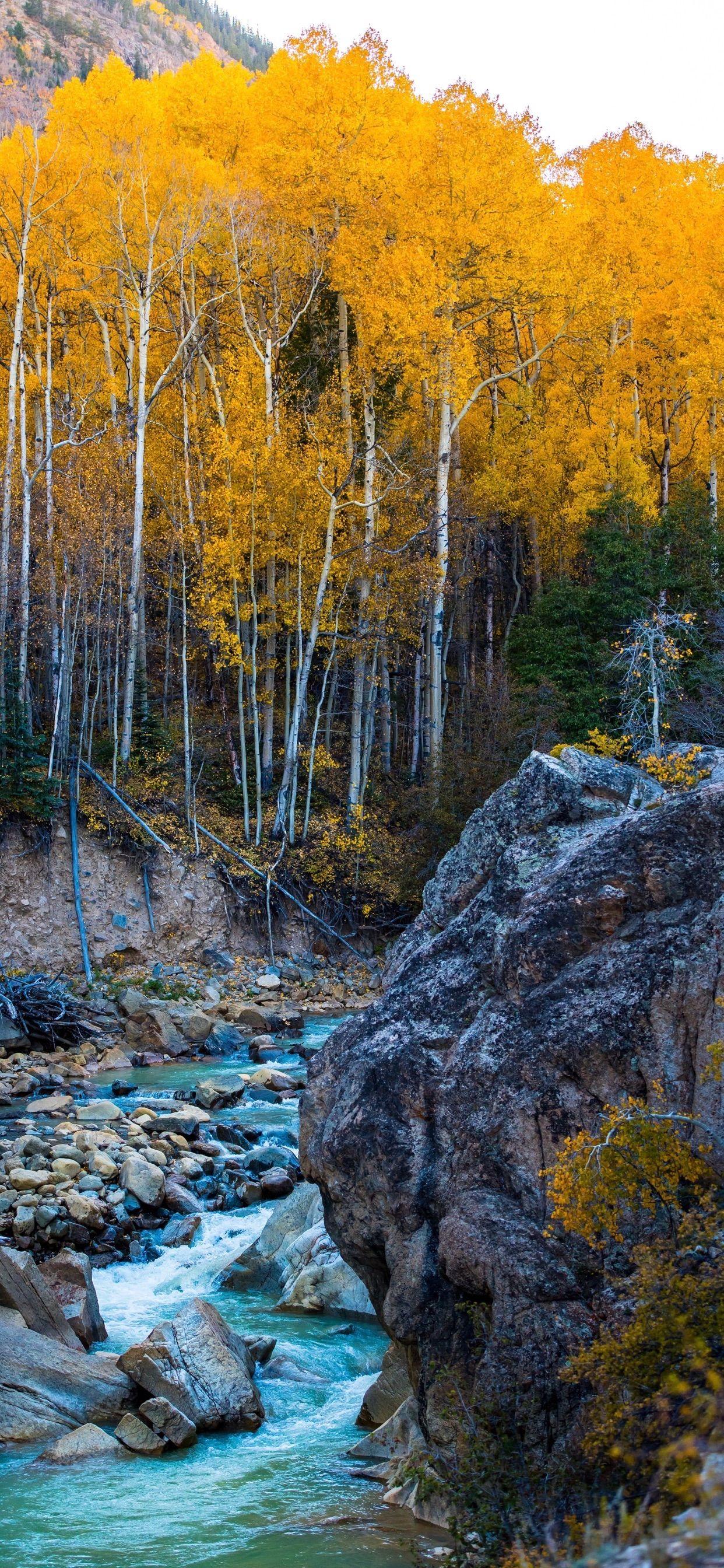 1242x2688 Wallpaper Weekends: Autumn iPhone XS Max Wallpaper