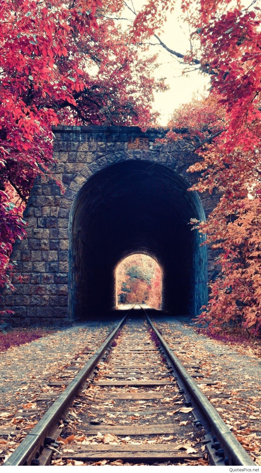 1080x1950 HD Nature Wallpaper for iPhone