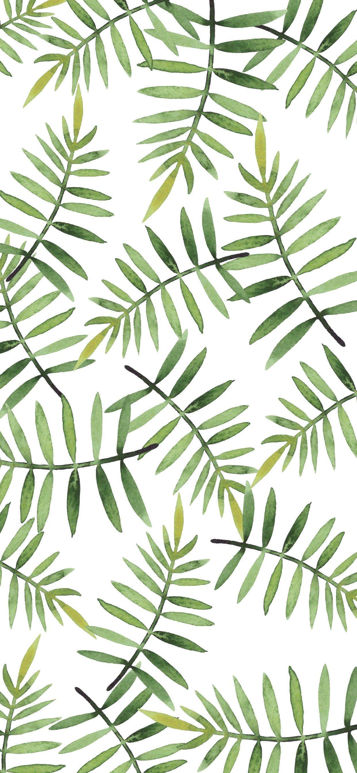 1242x2688 Palm Leaves Spring Floral Wallpaper Fern Free