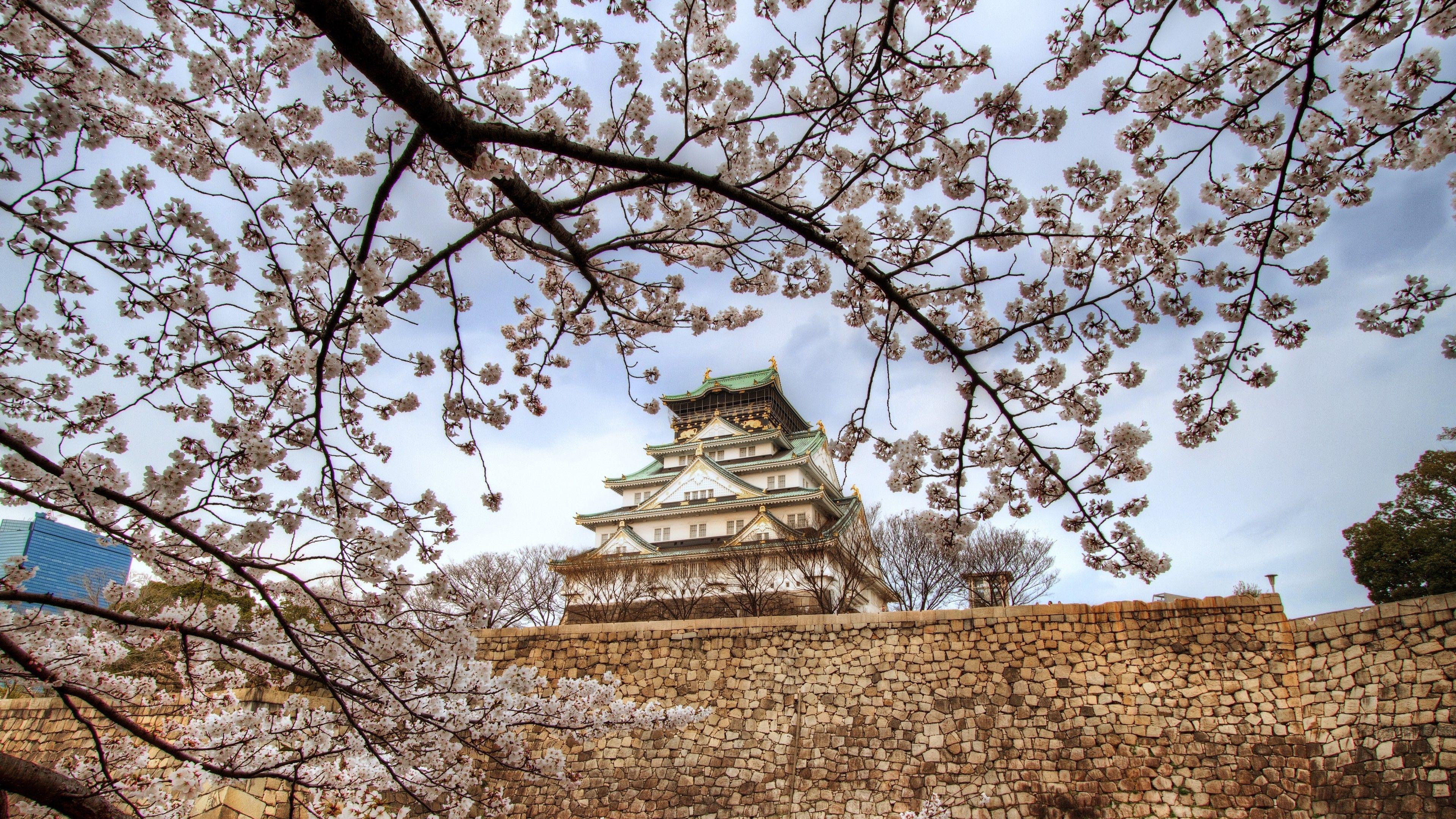 3840x2160 Osaka Castle Sakura Wallpaper Desktop Background