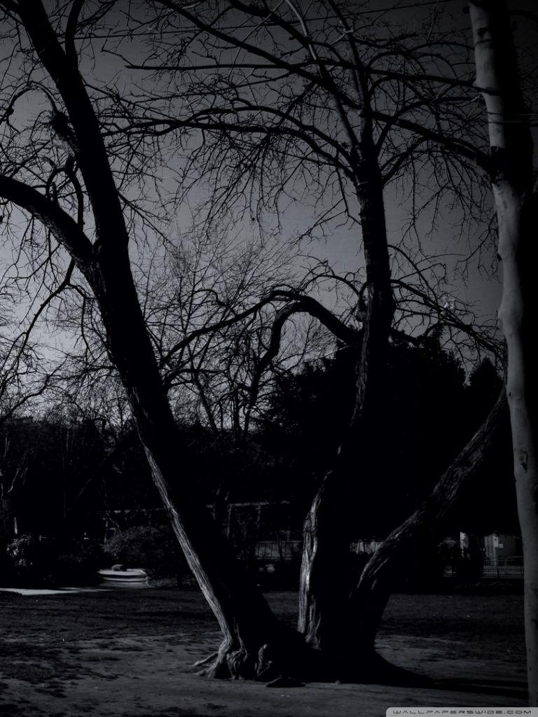 768x1024 Sad Wallpaper. The Last Wallpaper