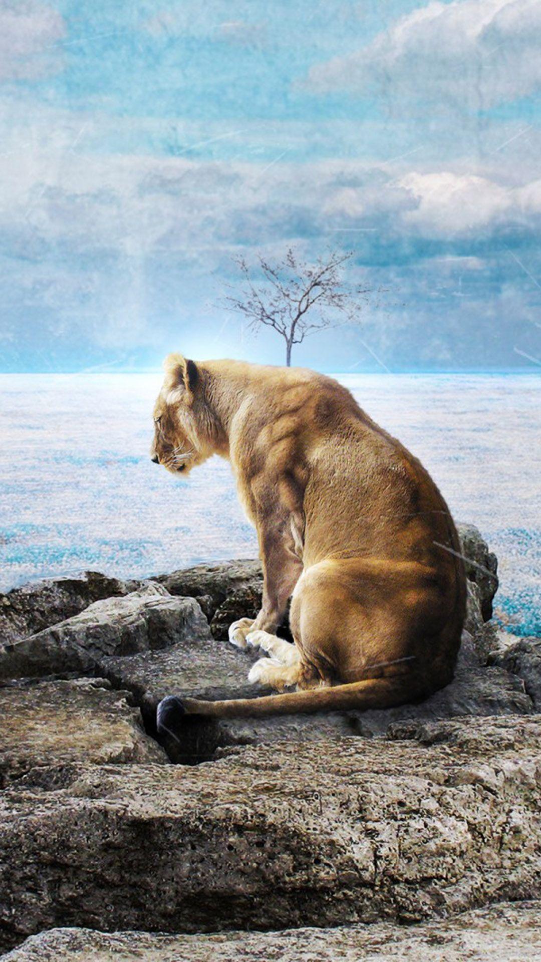1080x1920 Download Lone Sad Lion Free Pure 4K Ultra HD Mobile Wallpaper