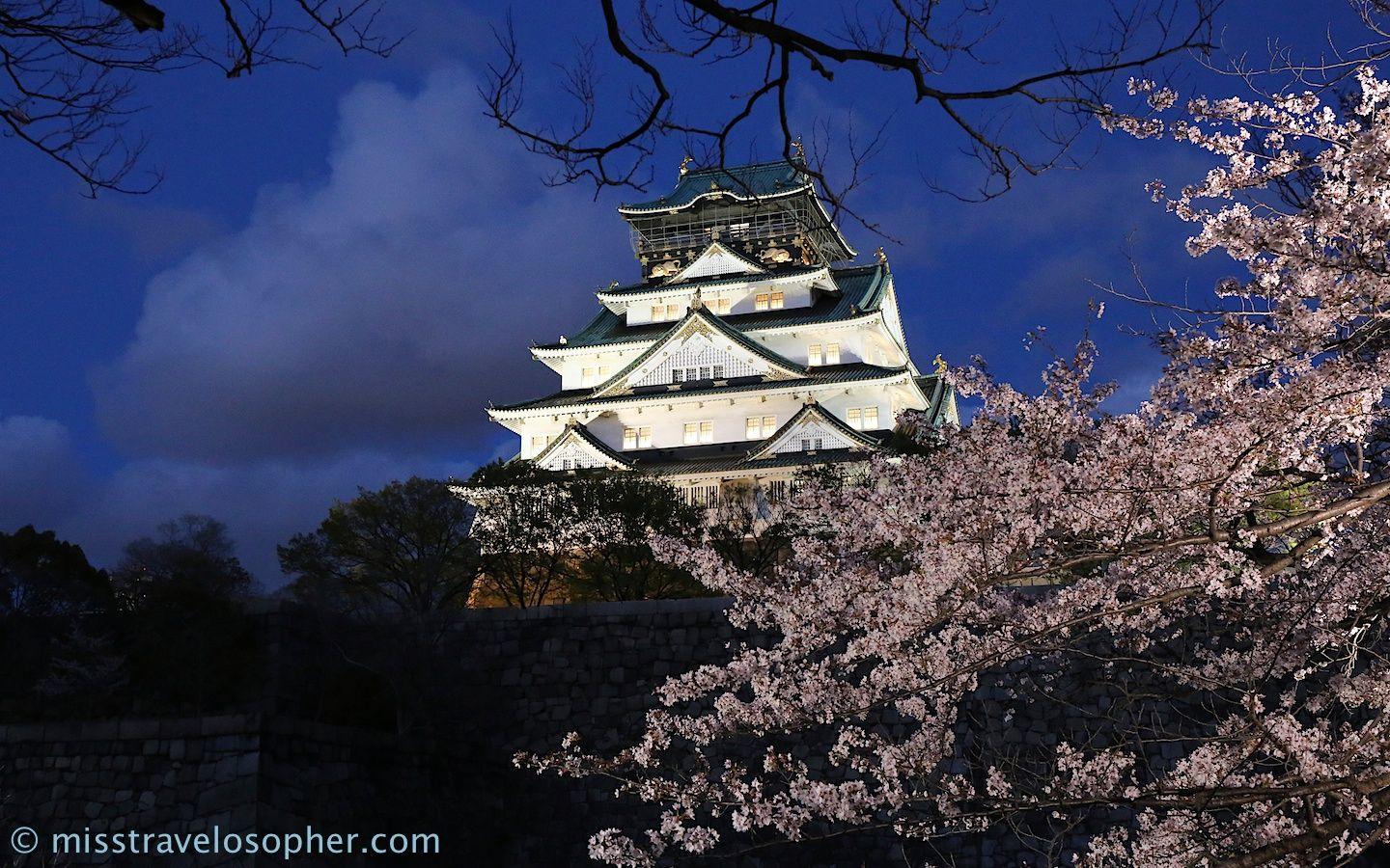 1440x900 Cherry blossoms at Osaka Castle