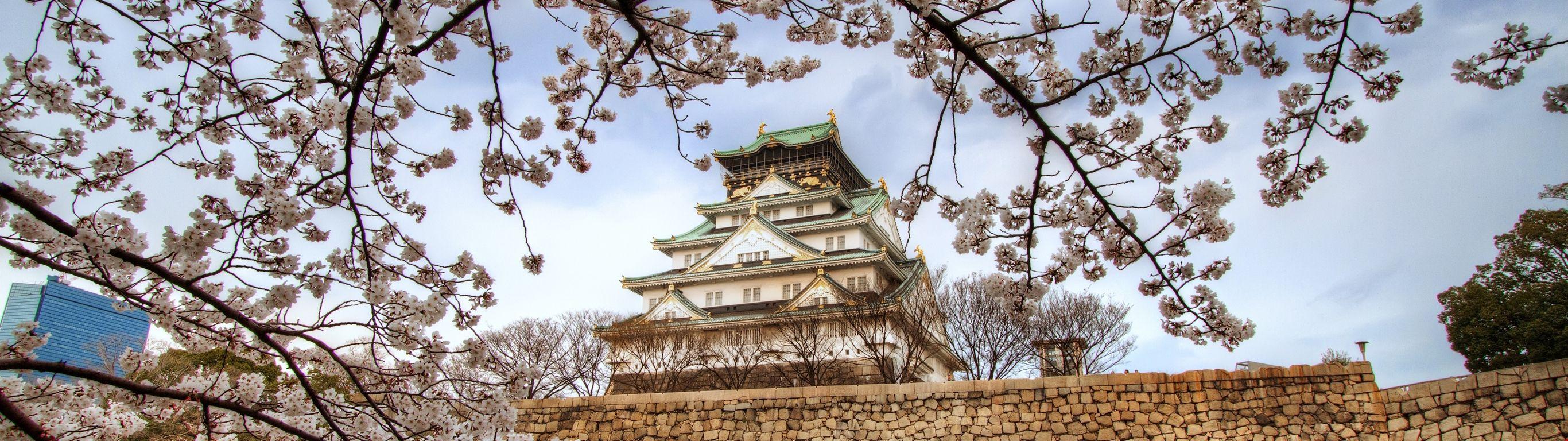 2732x768 5k Osaka Castle Sakura Background. HD