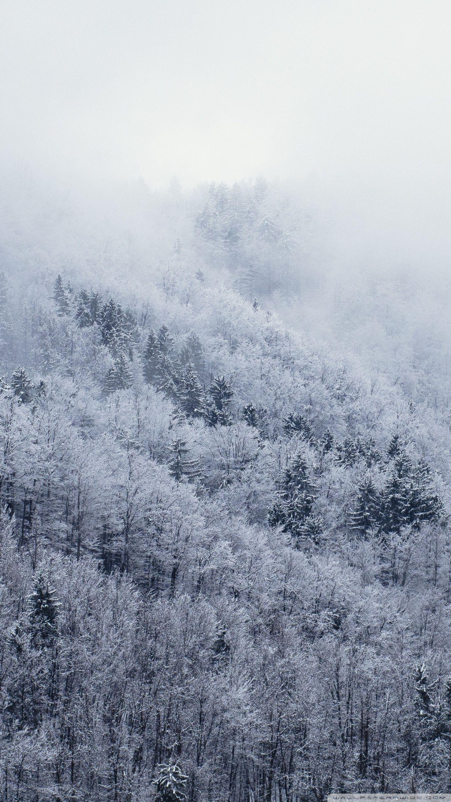 1440x2560 It's Cold Outside ❤ 4K HD Desktop Wallpaper for • Wide