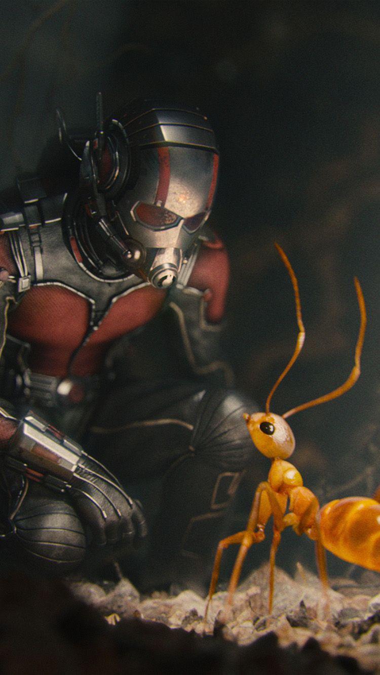 750x1334 Marvel Antman Metts Ant Film Art Illustration Art