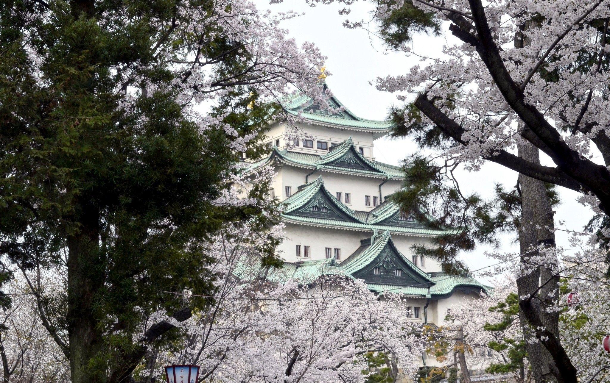 2048x1287 Tokyo wallpaper by Wallpaperxyz. Sakura Japan Wallpaper Full HD
