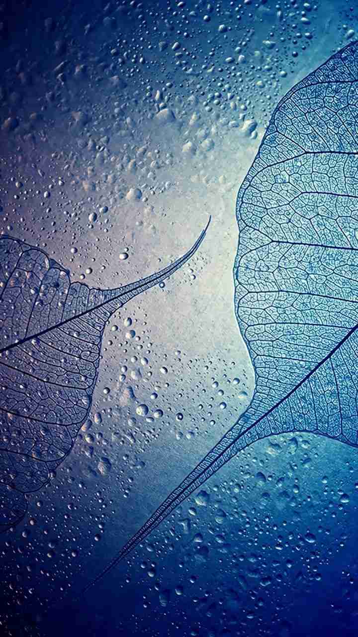 720x1280 Samsung Mobile HD Wallpaper Free Download