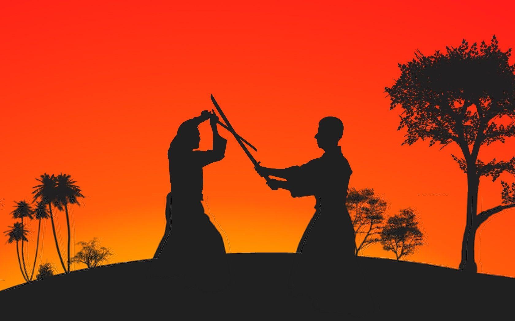 Martial Arts Wallpapers Top Free Martial Arts Backgrounds