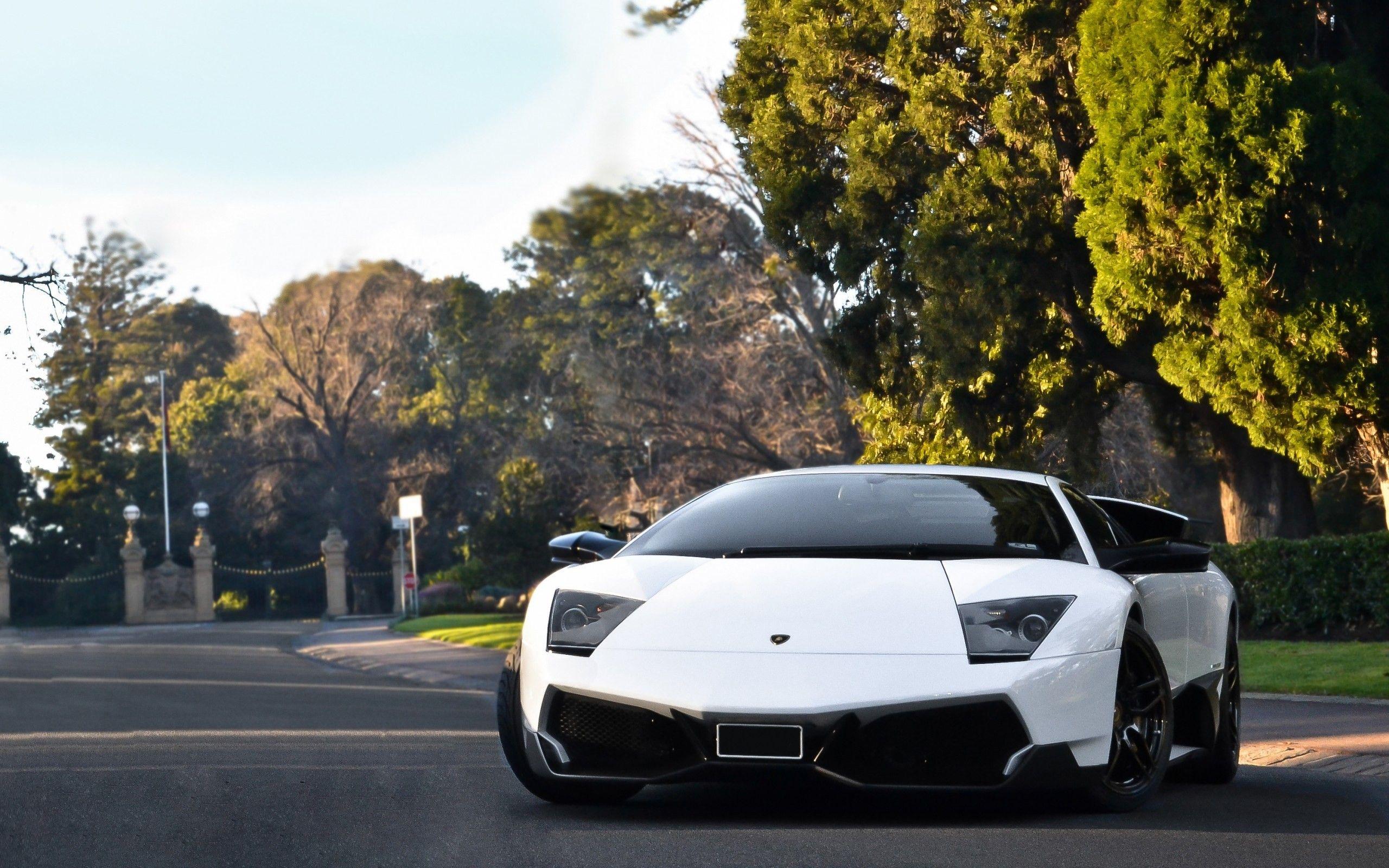 2560x1600 Lamborghini Gallardo Wallpaper HD