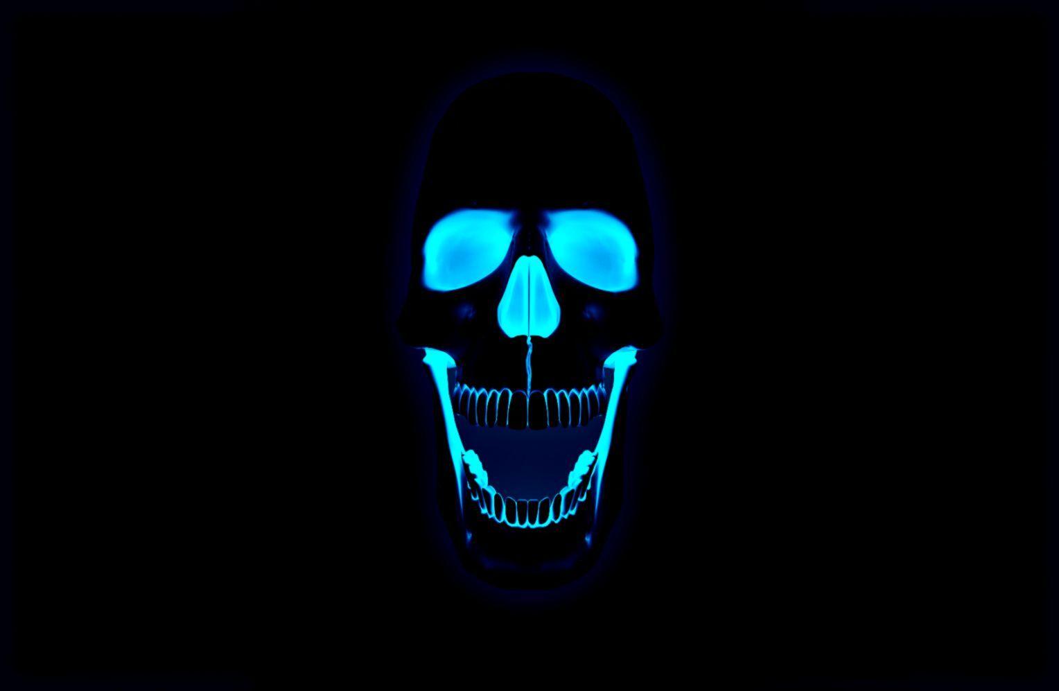 1528x997 Skull HD Wallpaper