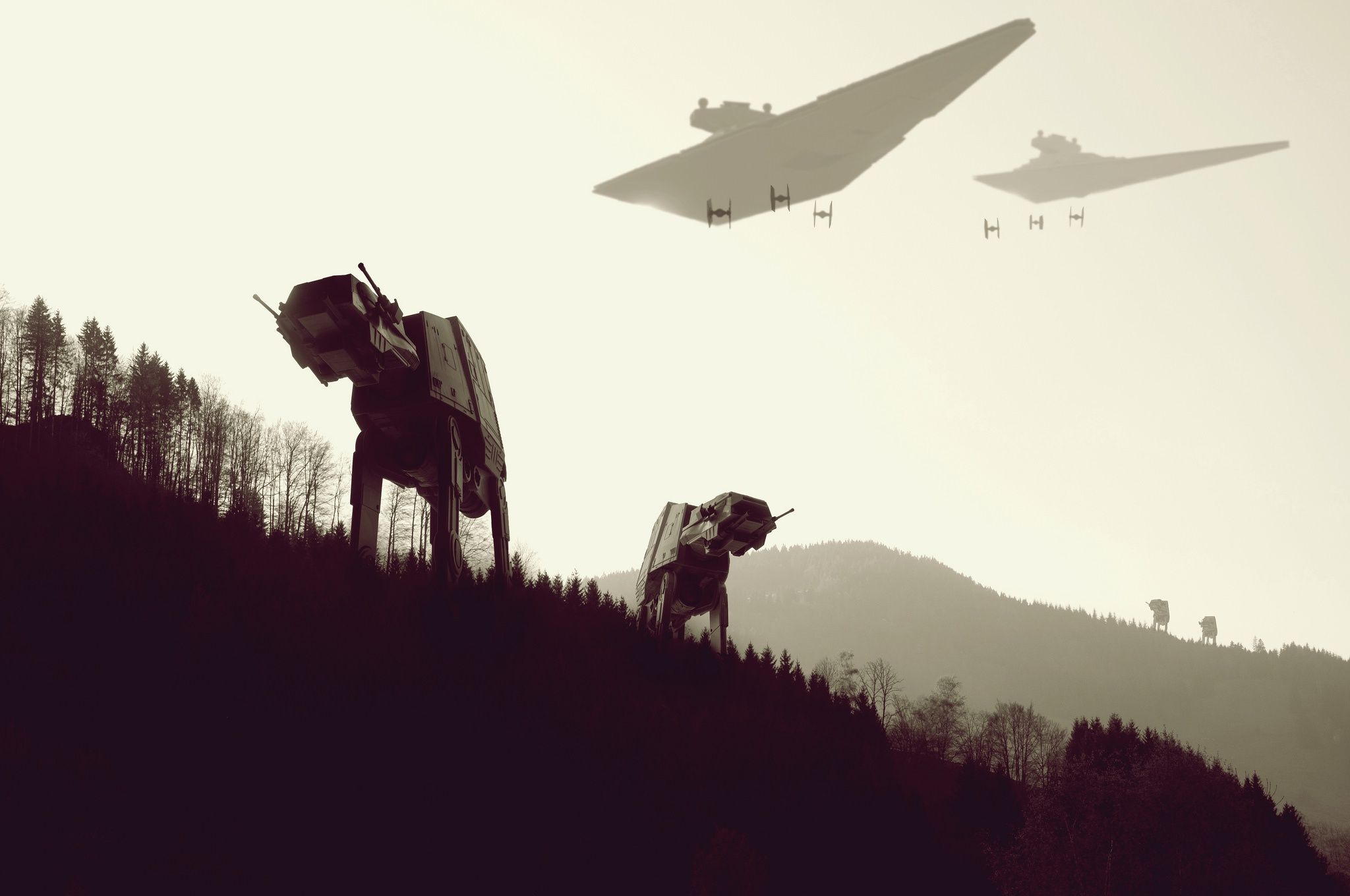 2048x1360 Wallpaper Star Wars, star wars, forest
