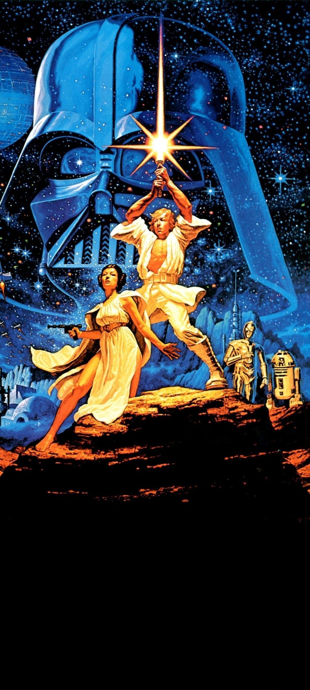 1080x2400 Princess Leia Wallpaper 19 image