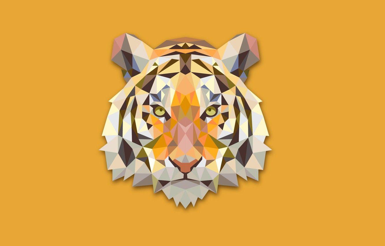 Tiger Minimalist 4K Wallpaper #19