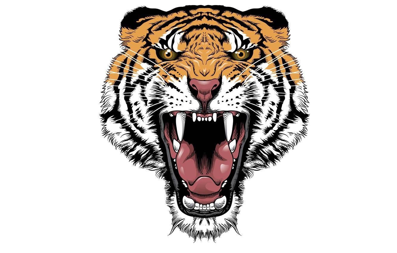 1332x850 Wallpaper tiger, minimalism, head, evil, tiger image