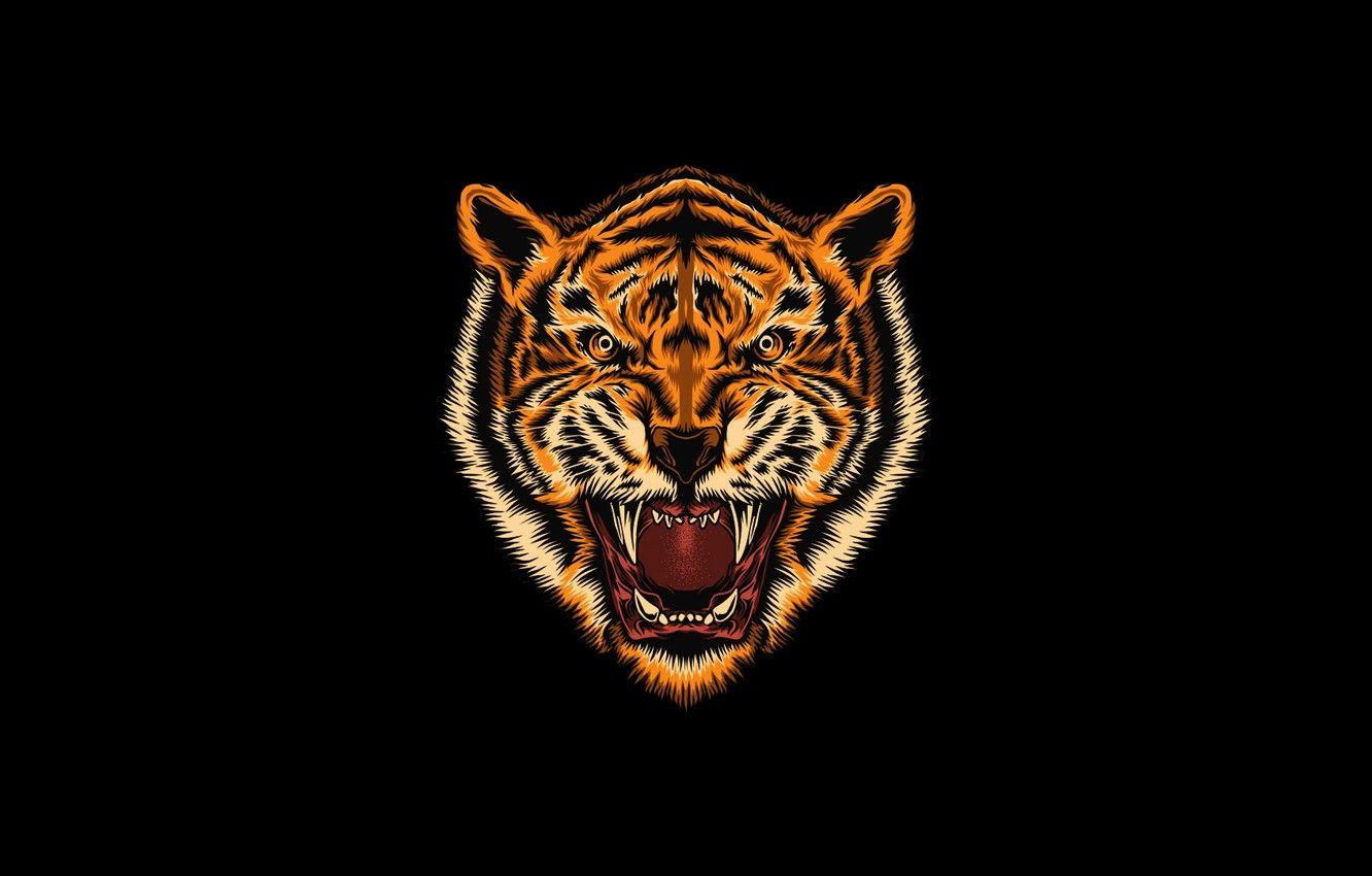 Tiger Minimalist 4K Wallpaper #19