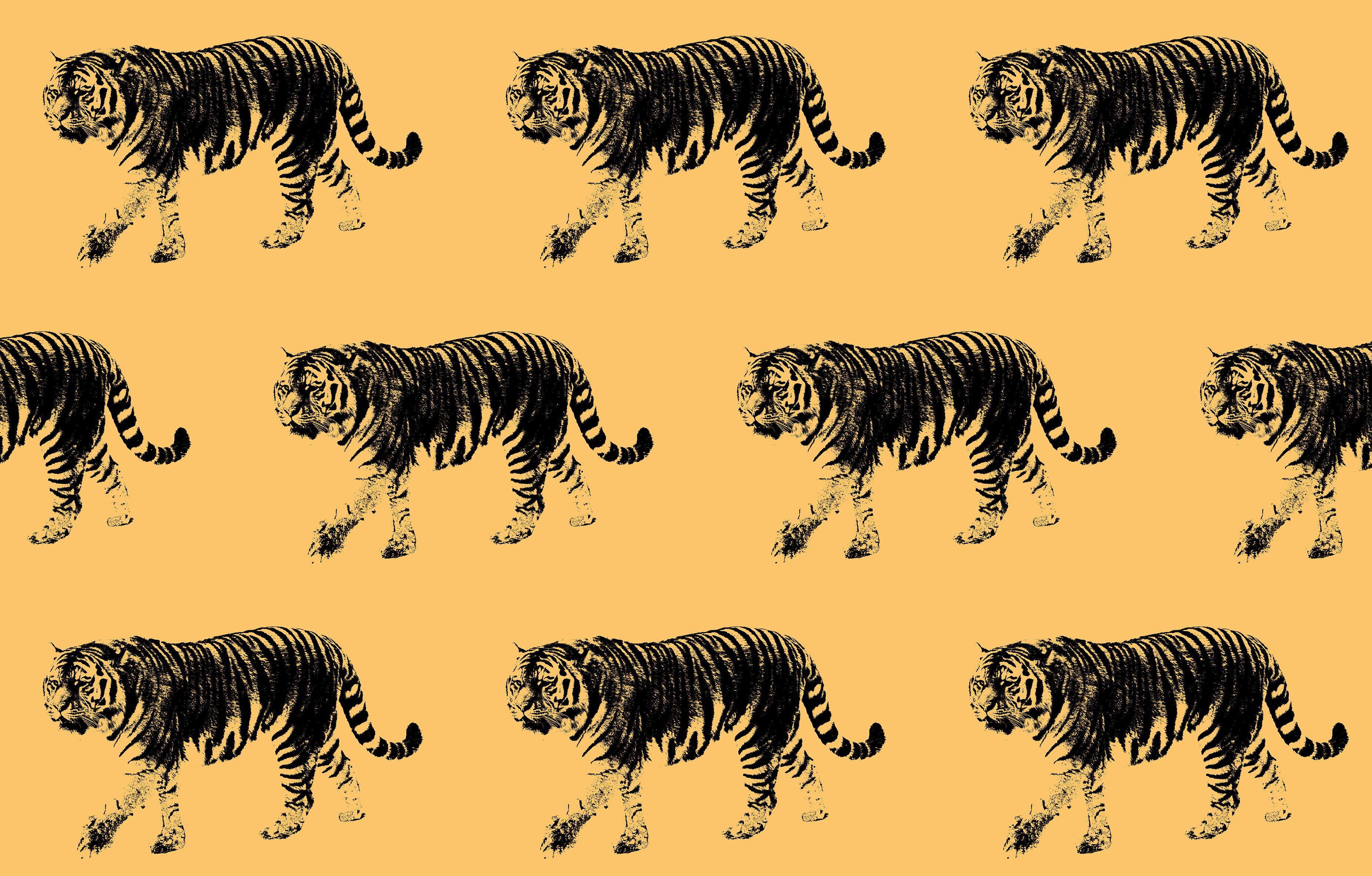 3704x2365 This Is The 2019 Wallpaper Pattern Trend Of The Year