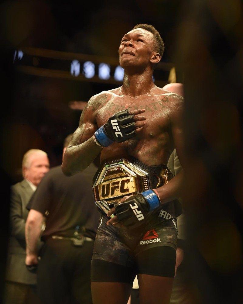 800x1000 Create meme Alvarez ufc, McGregor Alvarez photo, ufc