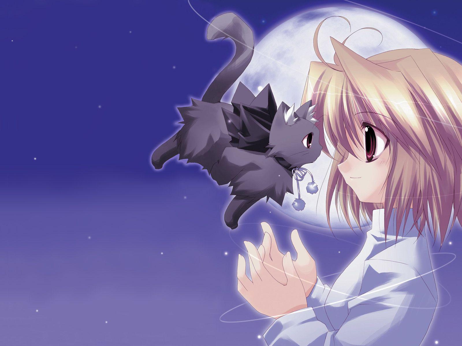 Anime Cat Wallpapers Top Free Anime Cat Backgrounds Wallpaperaccess 9361