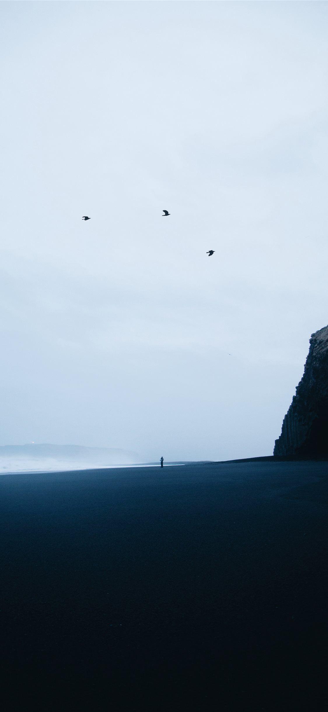 1125x2436 Reynisfjara Black Sand Beach iPhone 11 Wallpaper Free Download