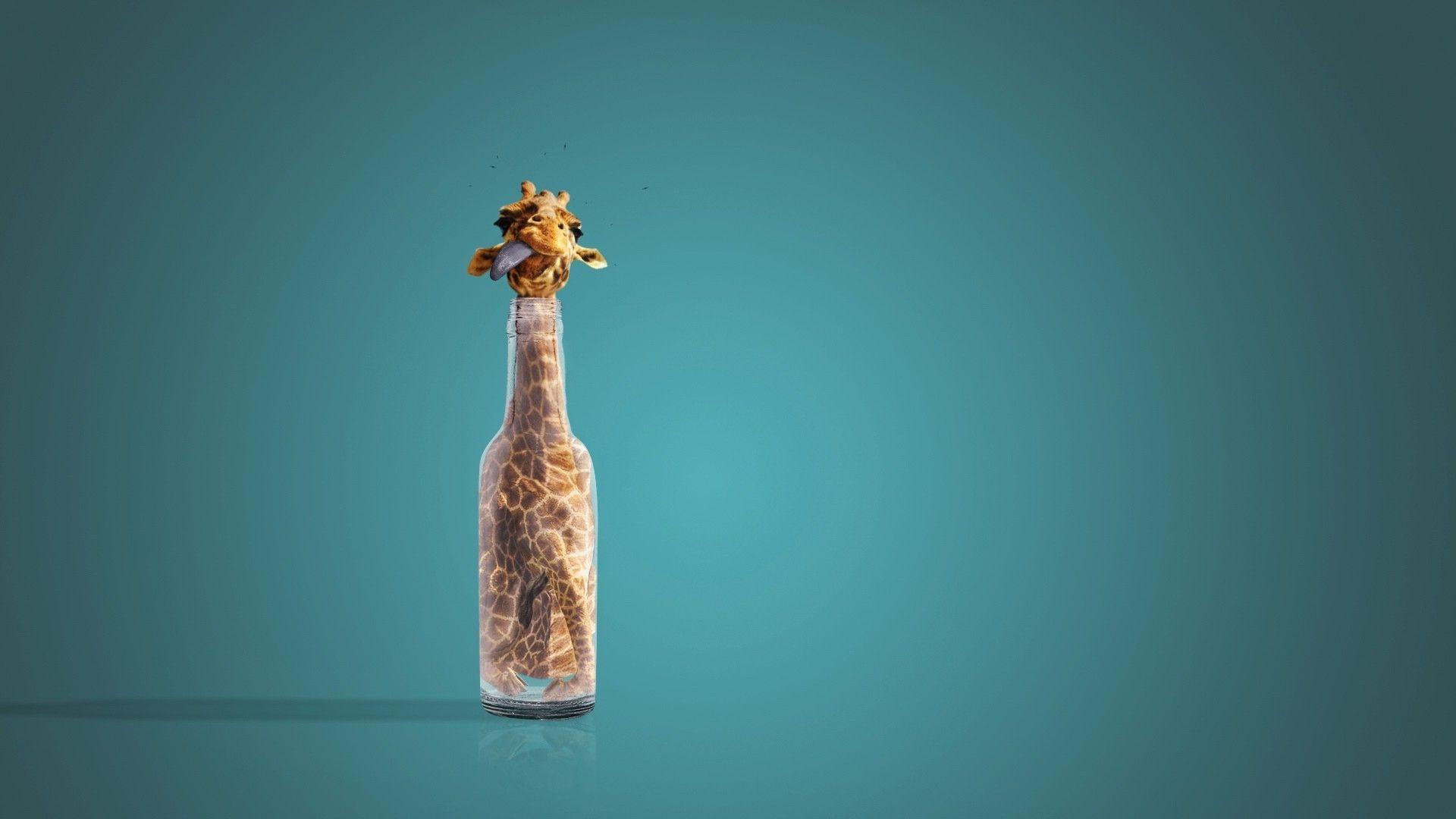1920x1080 Bottle Wallpaper Bottle, HD Wallpaper & background