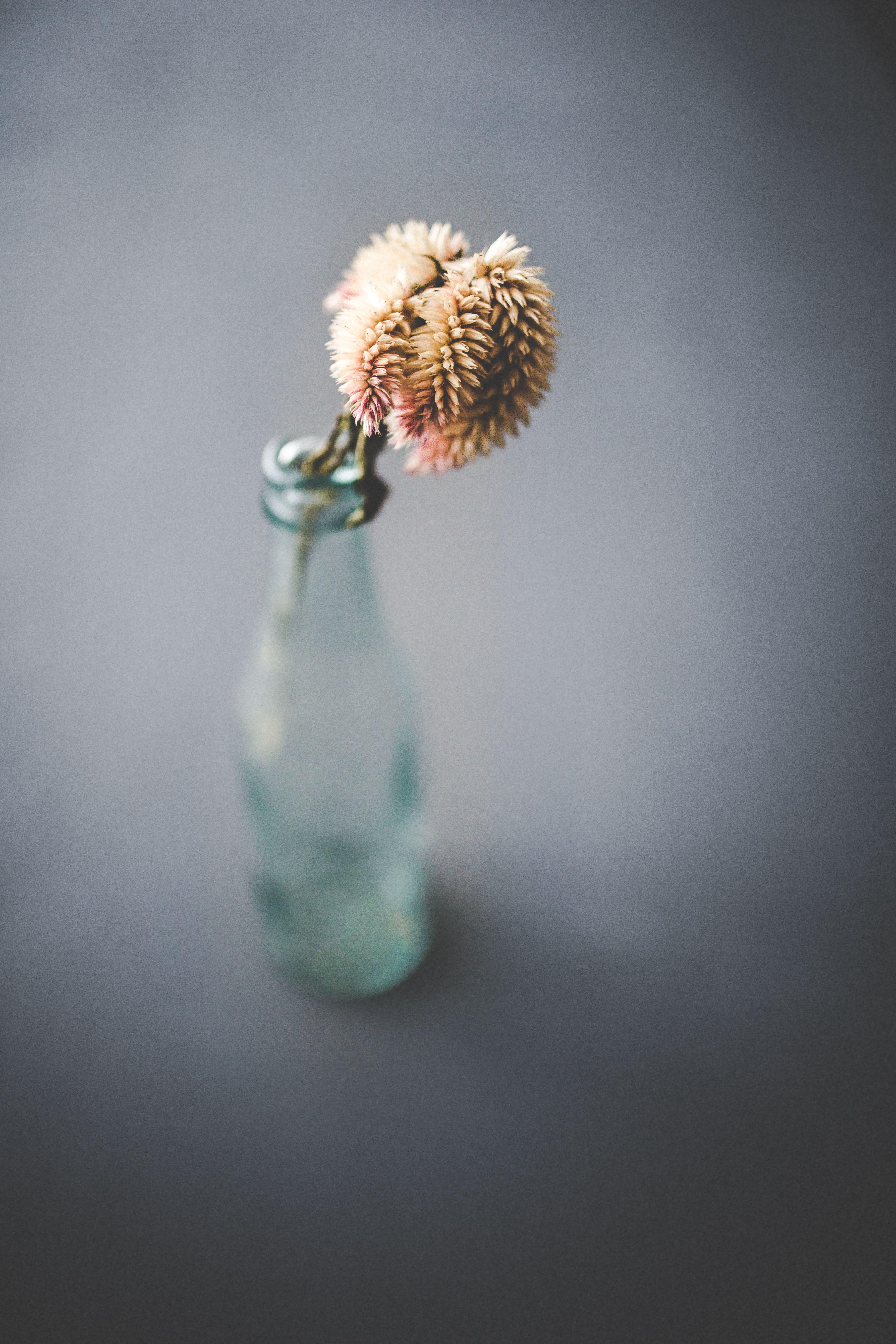 3648x5472 bottles 4K wallpaper for your desktop or mobile screen free