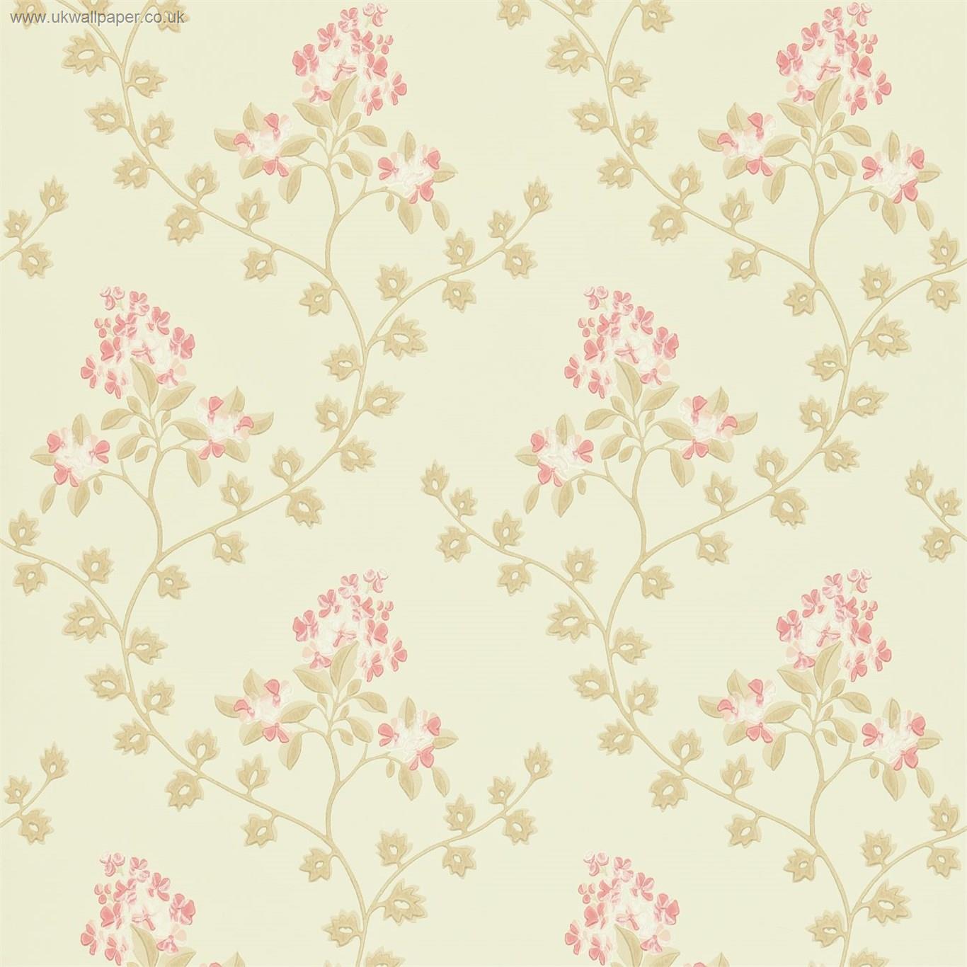 Floral Rococo Wallpaper in Lovat  Red by Mulberry Home  Jane Clayton