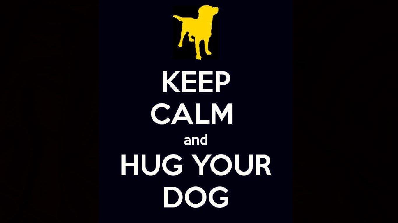 Keep there 5. Обои на рабочий стол keep calm. сохраняй спокойствие картинки. keep calm животные. stay calm wallpaper.