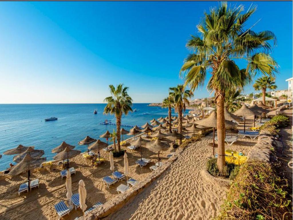1024x768 Resort Concorde El Salam Sharm El Sheikh, Egypt