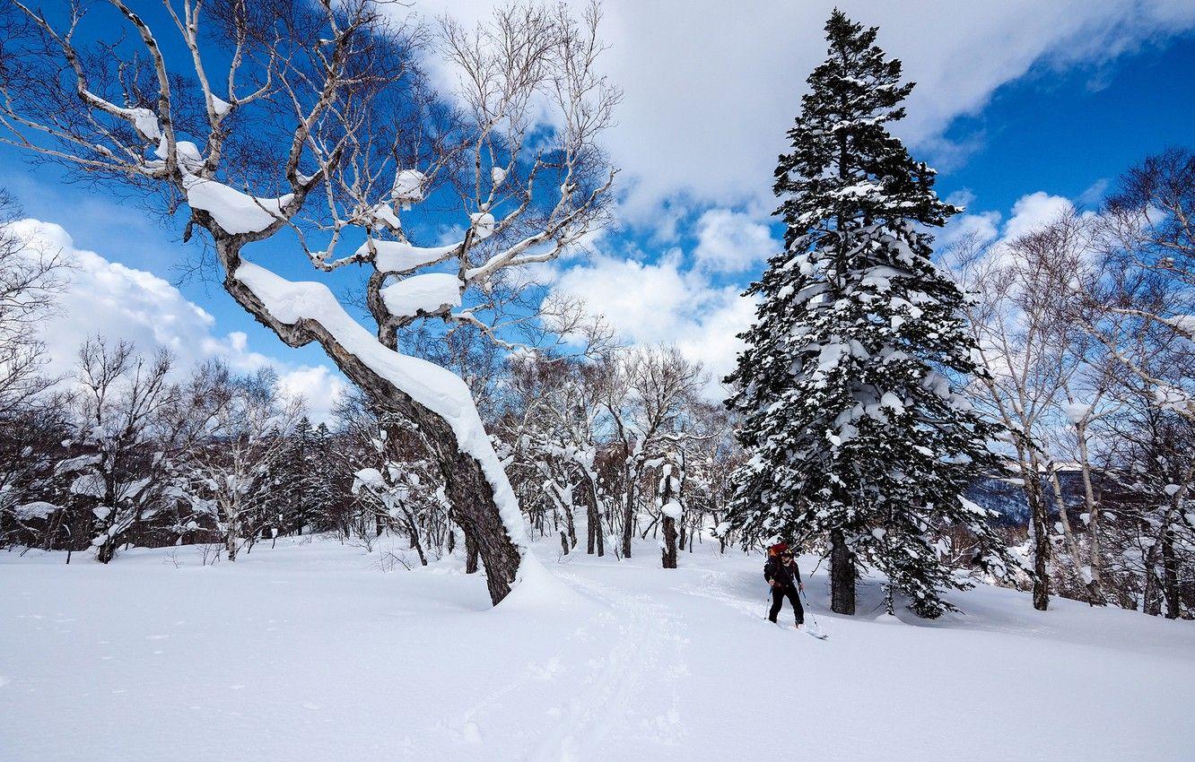 1332x850 Wallpaper winter, forest, the sky, clouds, snow, trees, Japan, skier, Hokkaido, Sapporo image for desktop, section природа