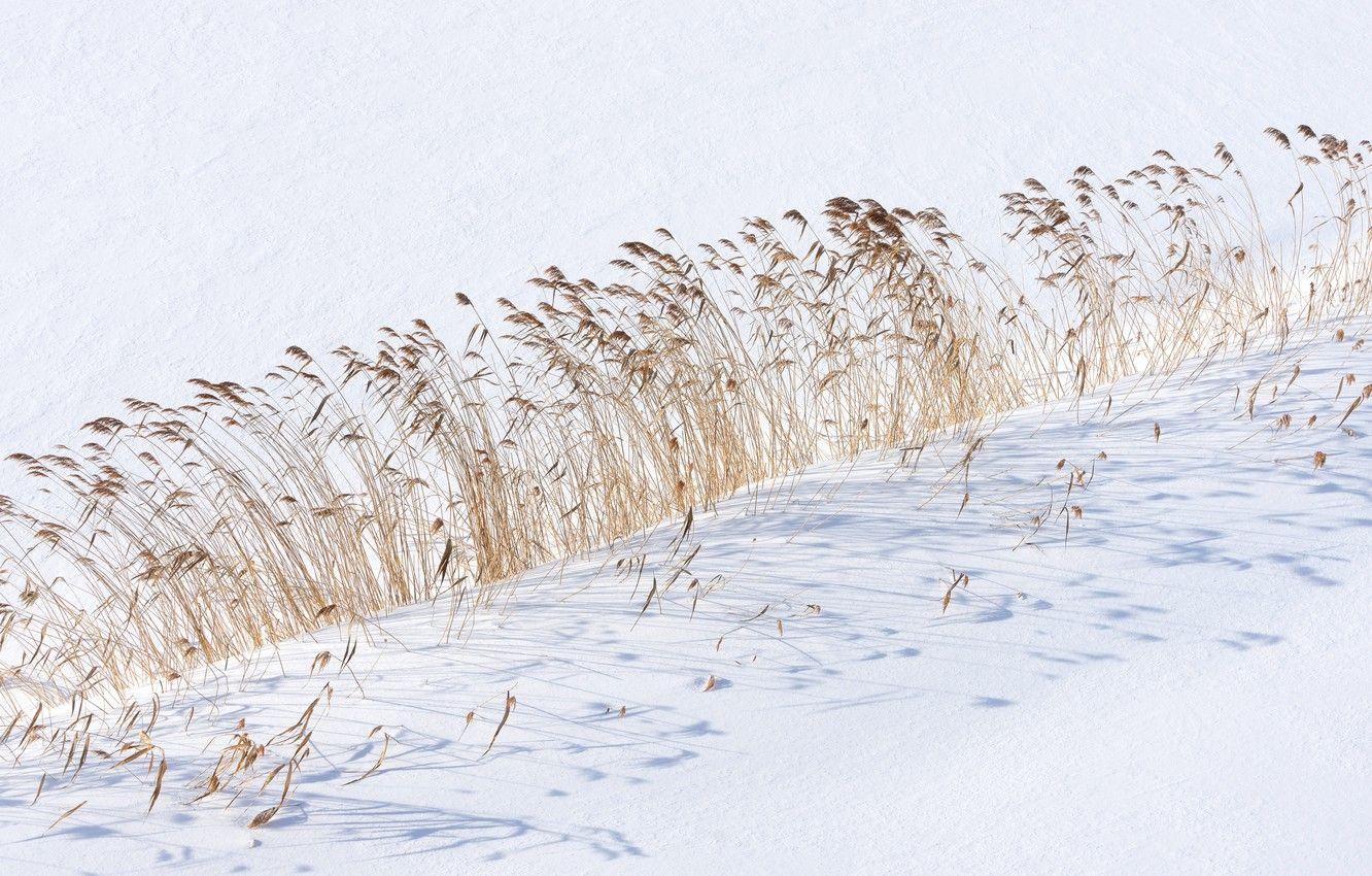 1332x850 Wallpaper Japan, Hokkaido, Sapporo, Moerenuma Park image