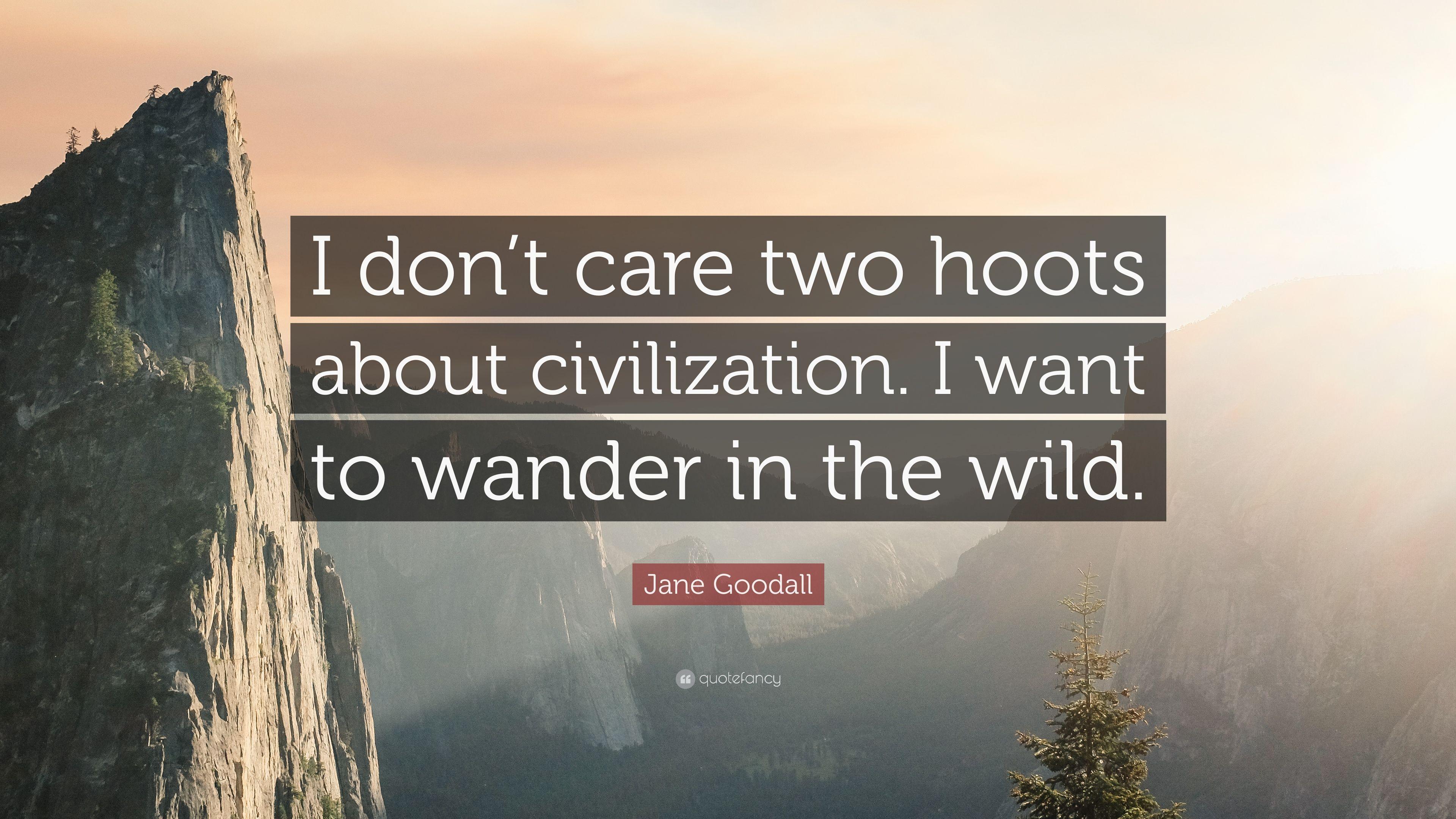 3840x2160 Jane Goodall Quote: “I don't care two hoots about