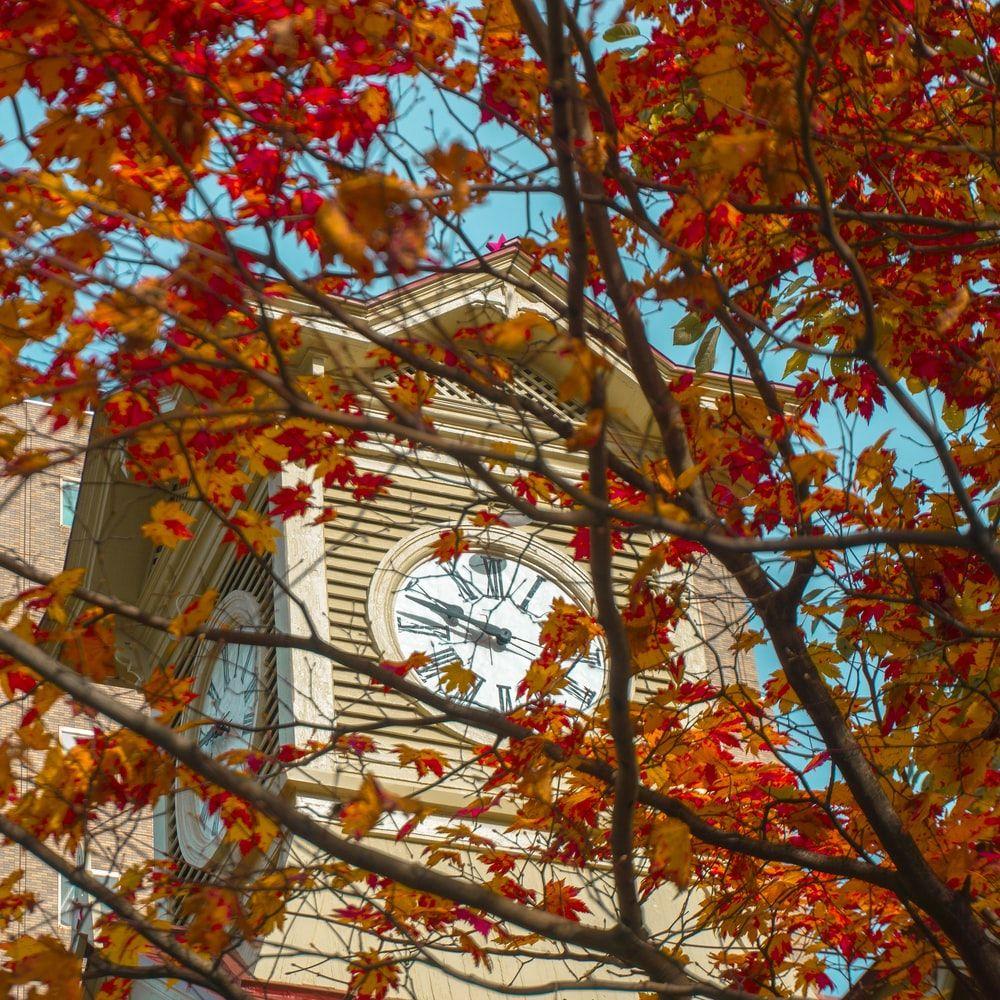 Sapporo Wallpapers - Top Free Sapporo Backgrounds - WallpaperAccess