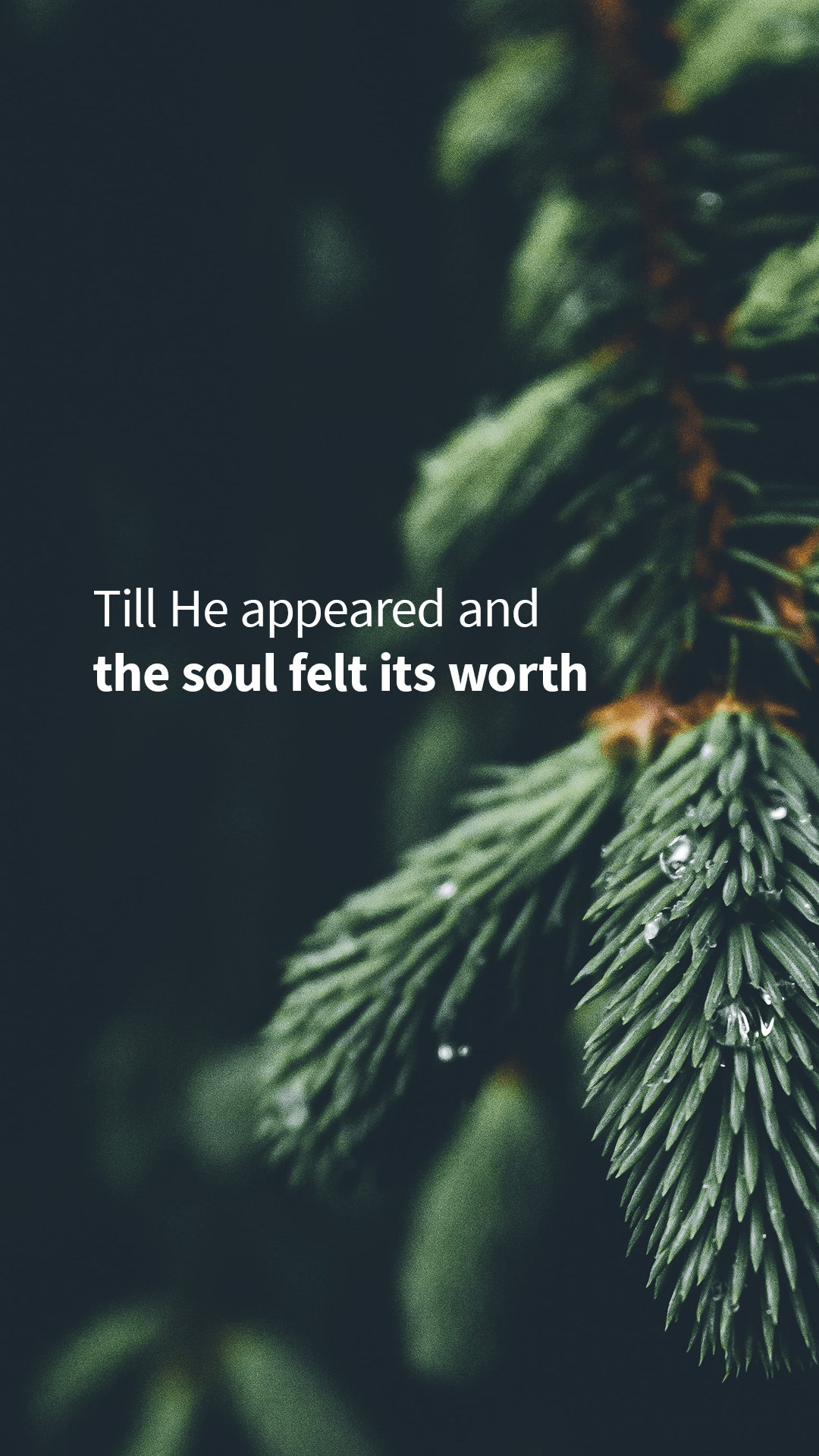 Christian Advent Wallpapers - Top Free Christian Advent Backgrounds