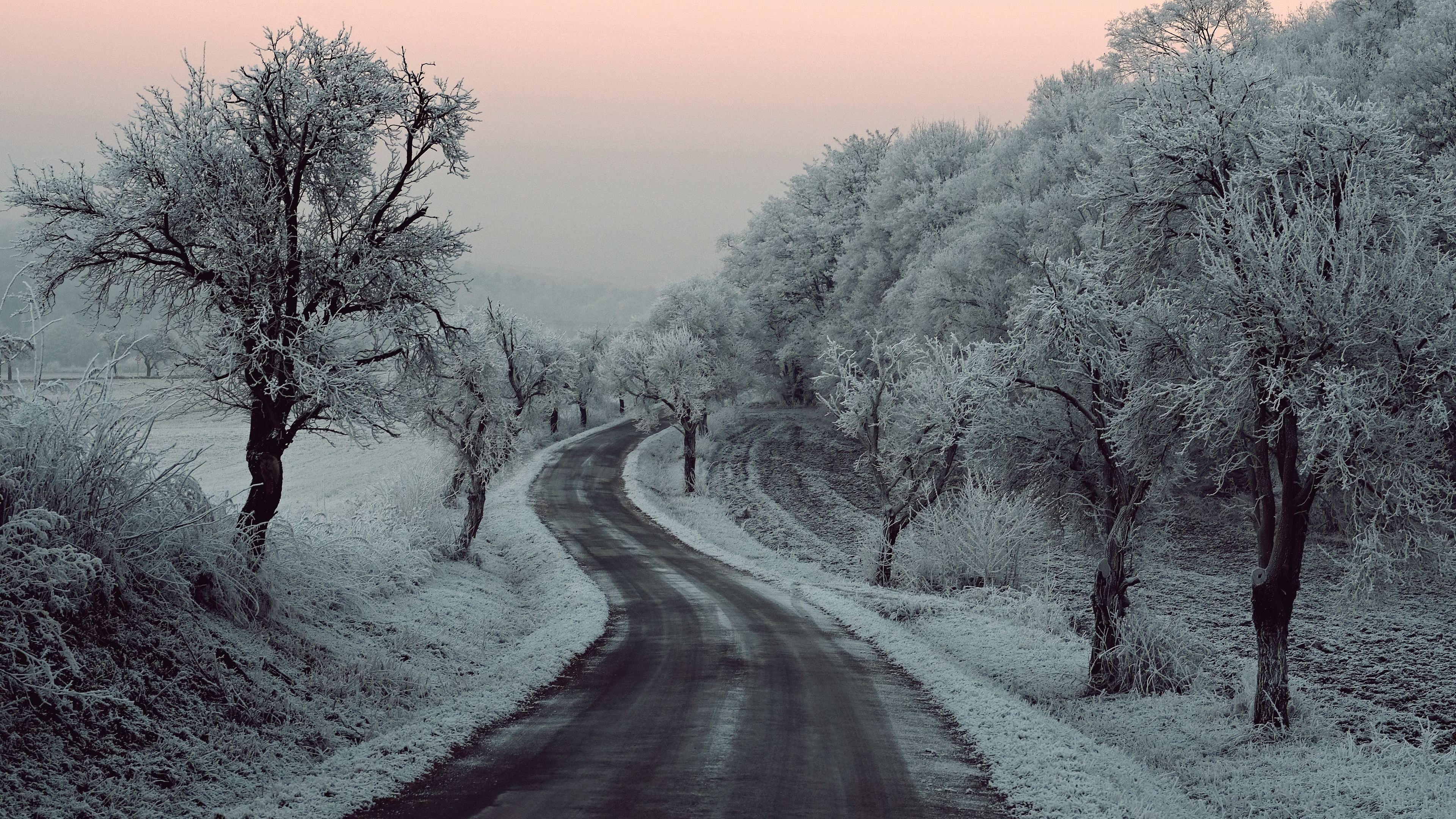 3840x2160 Wallpaper 4k Winter Road Snow Frozen Trees On Sides 5k 4k
