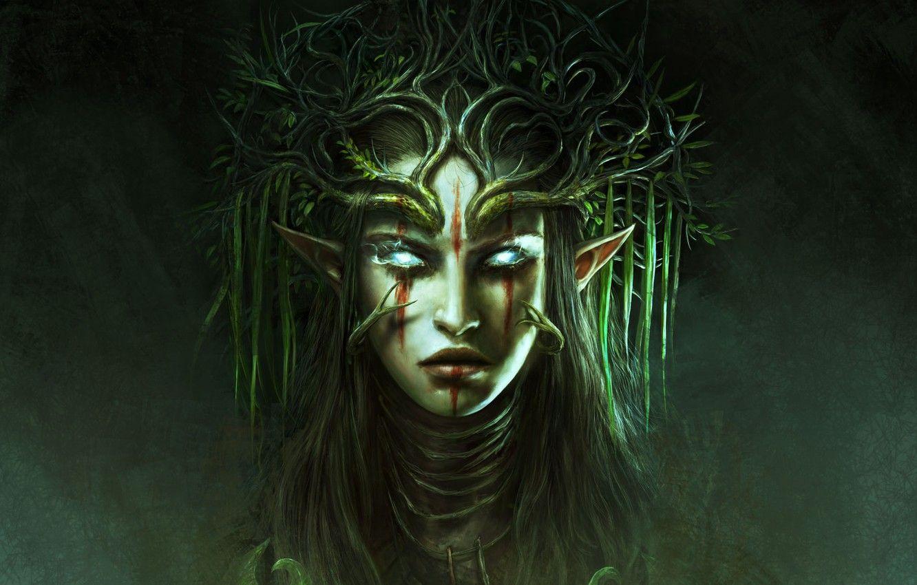 1332x850 Wallpaper girl, face, portrait, Divinity: Original Sin 2