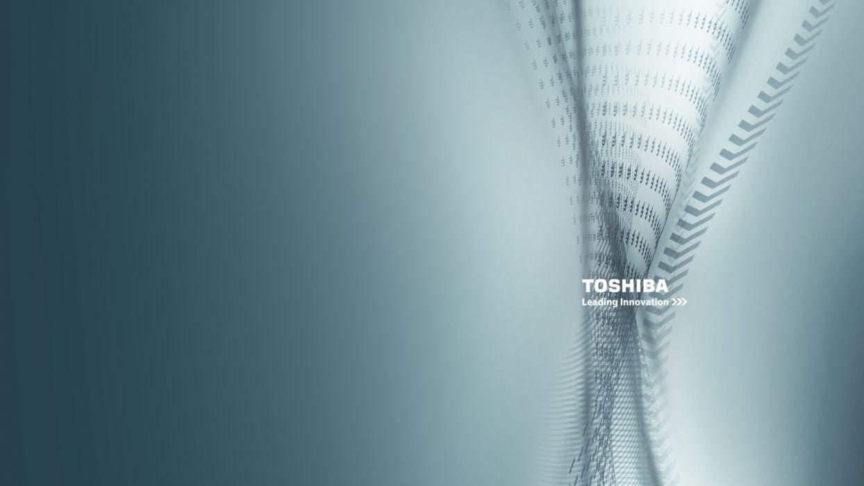 1244x700 TOSHIBA computer wallpaperx1080