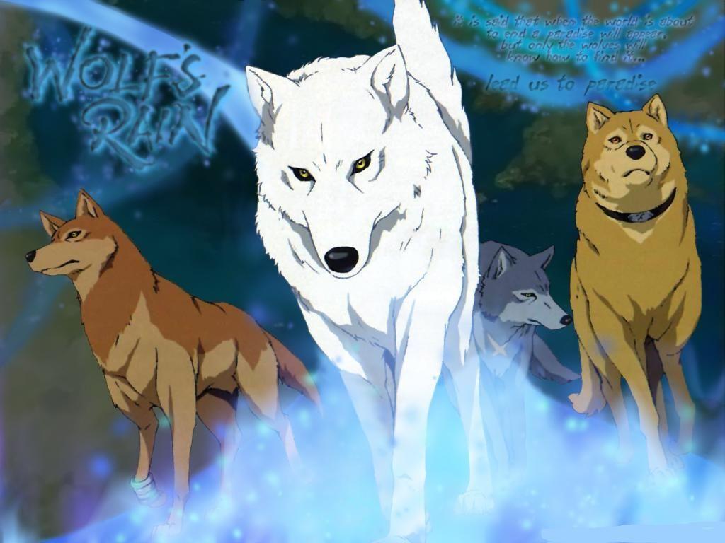 1024x768 anime. Wolf's Rain anime wallpaper. JapAnimatioN